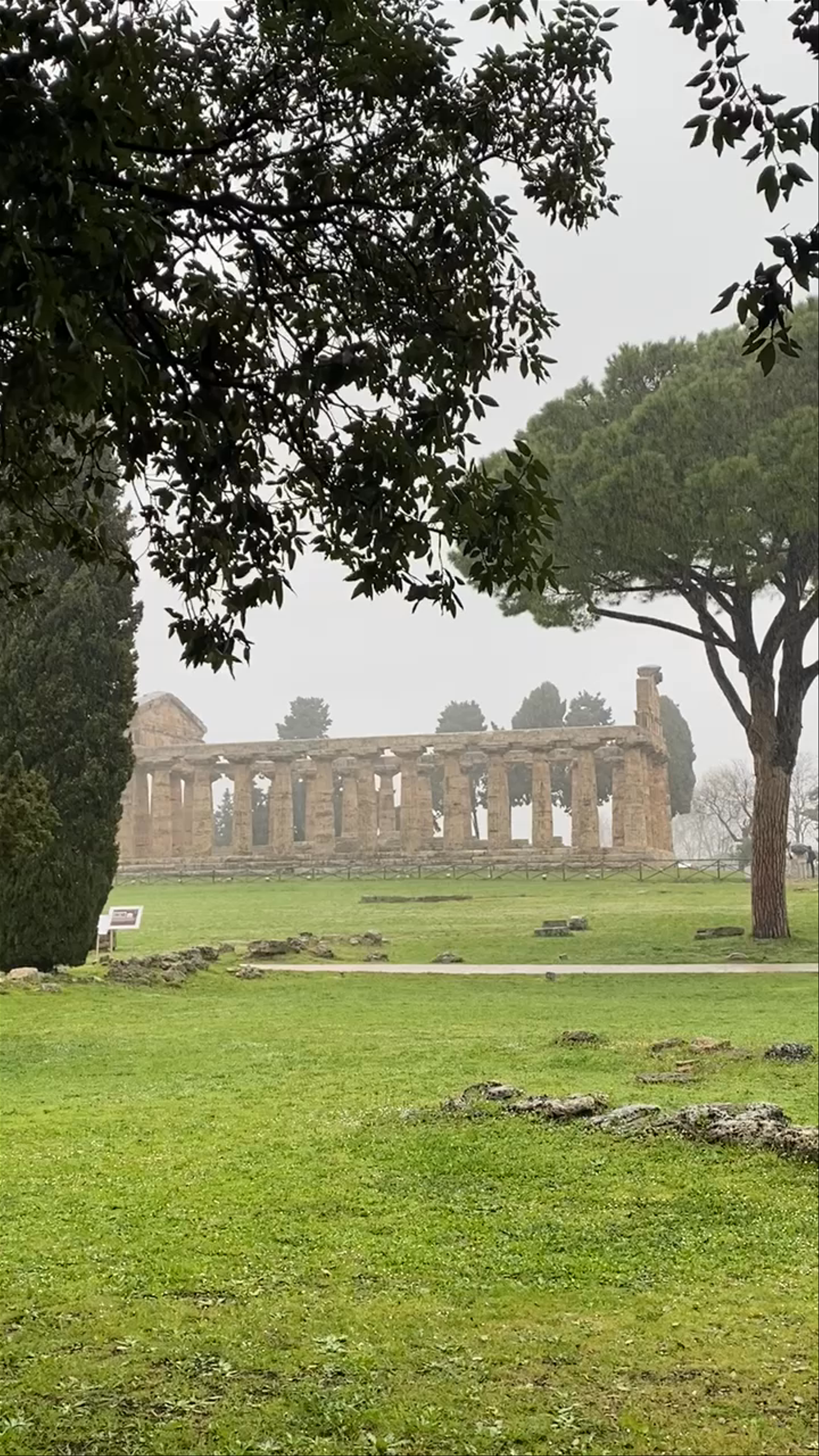 Paestum Archaeological Museum: Timeless Ruins in Campania, Italy