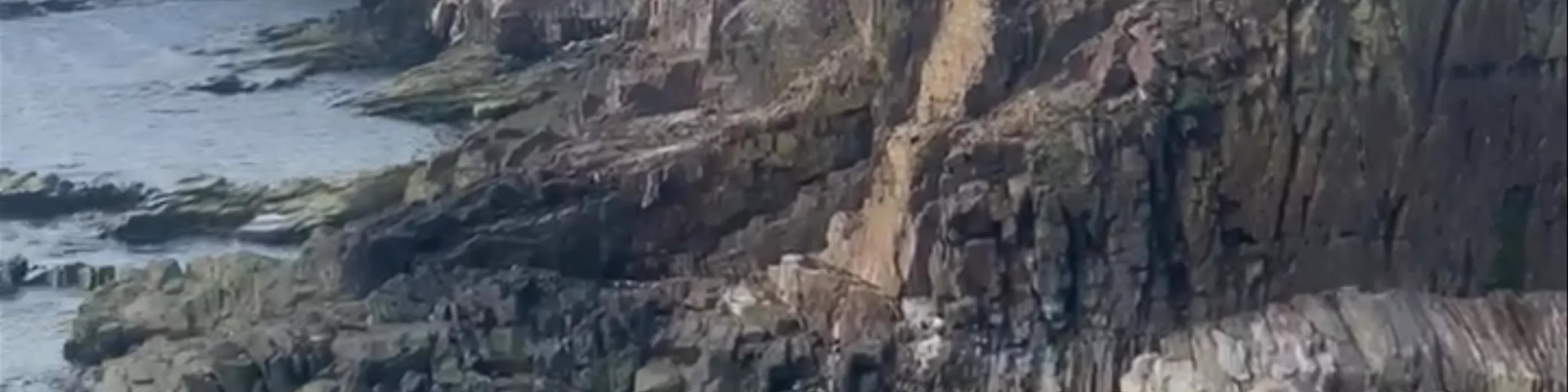 Puffin Viewing Site
