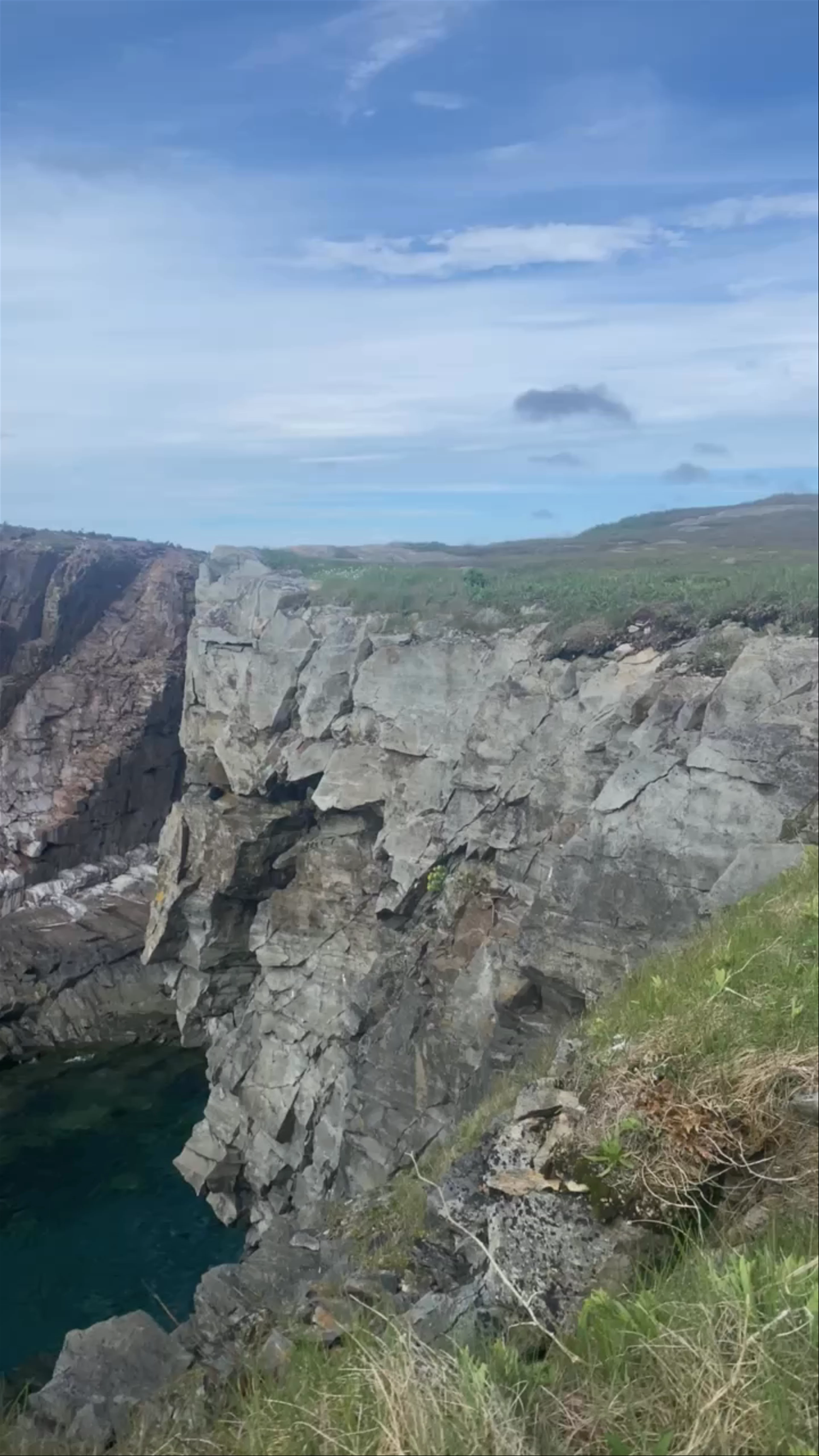 Puffin Viewing Site