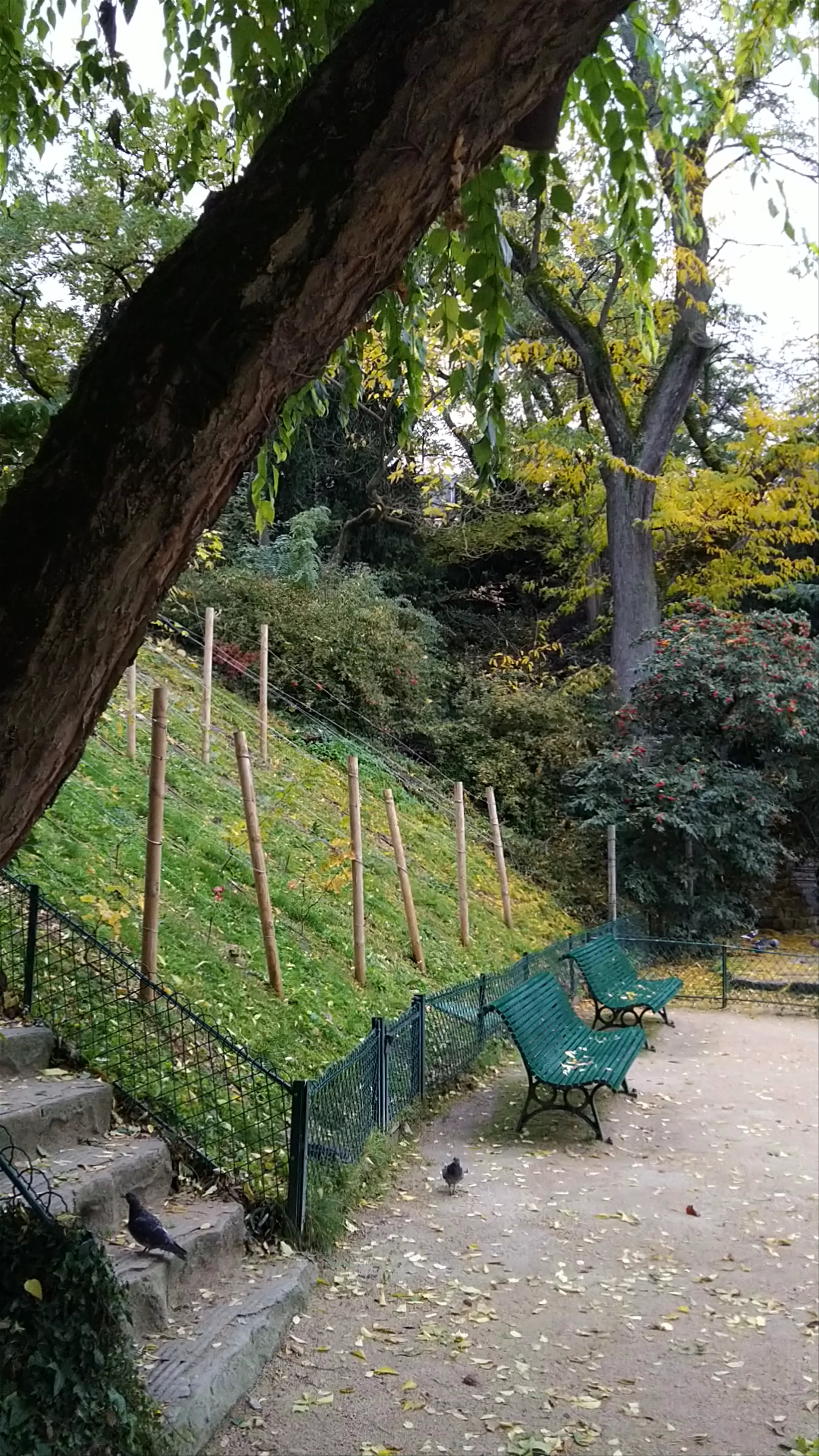Arènes de Lutèce