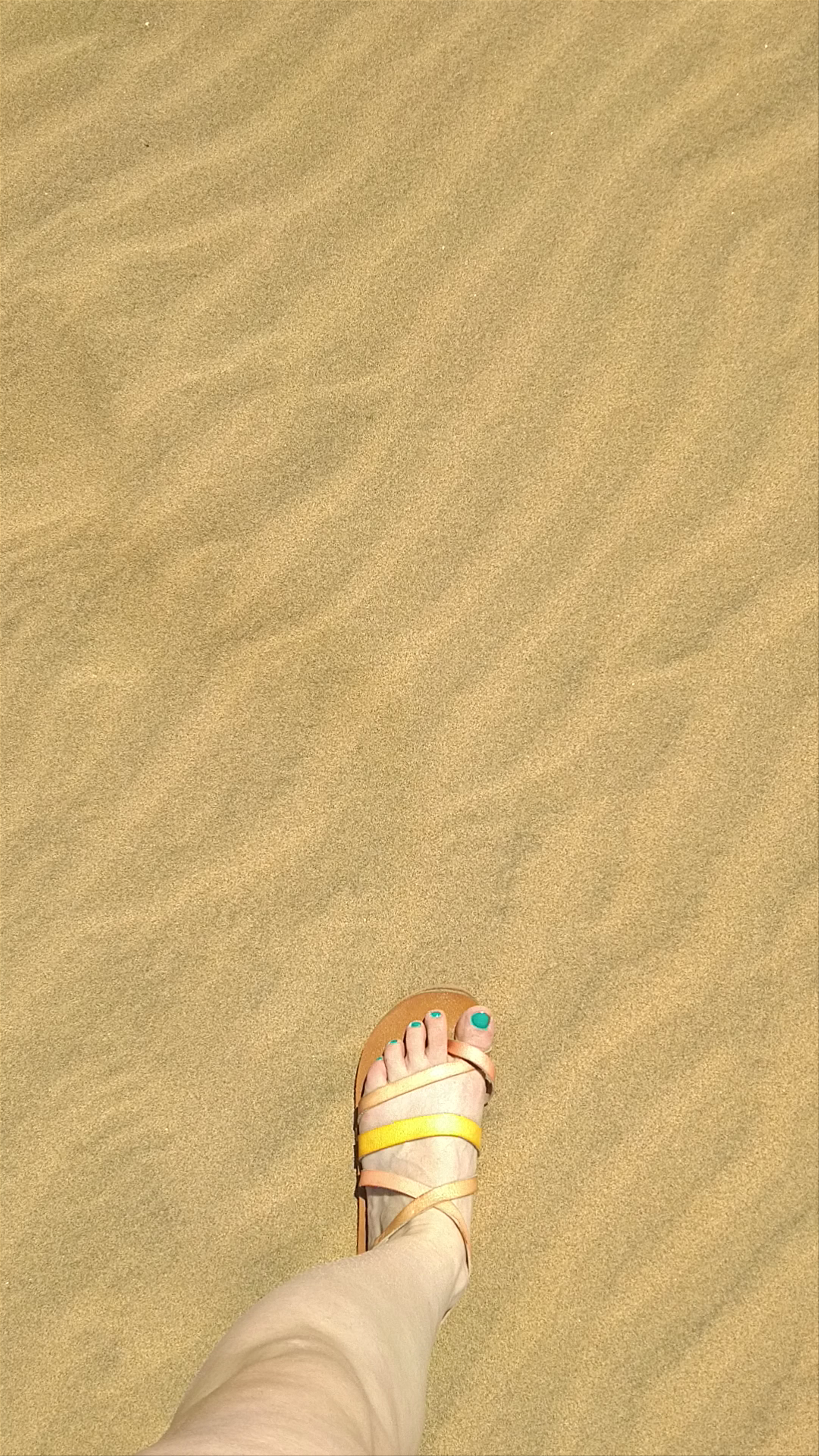 Maspalomas Dunes: A Golden Desert Escape in the Canary Islands
