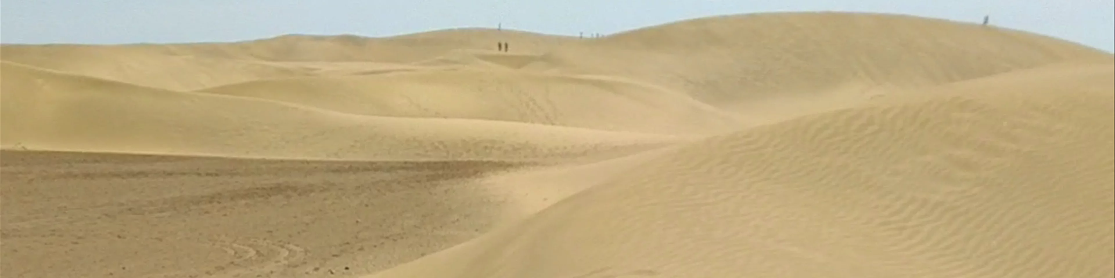 Maspalomas dunes