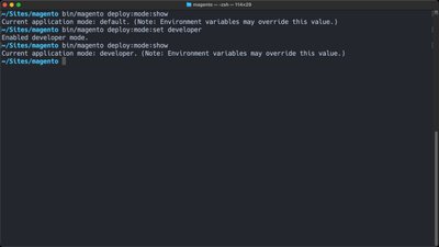 Set developer mode in Magento