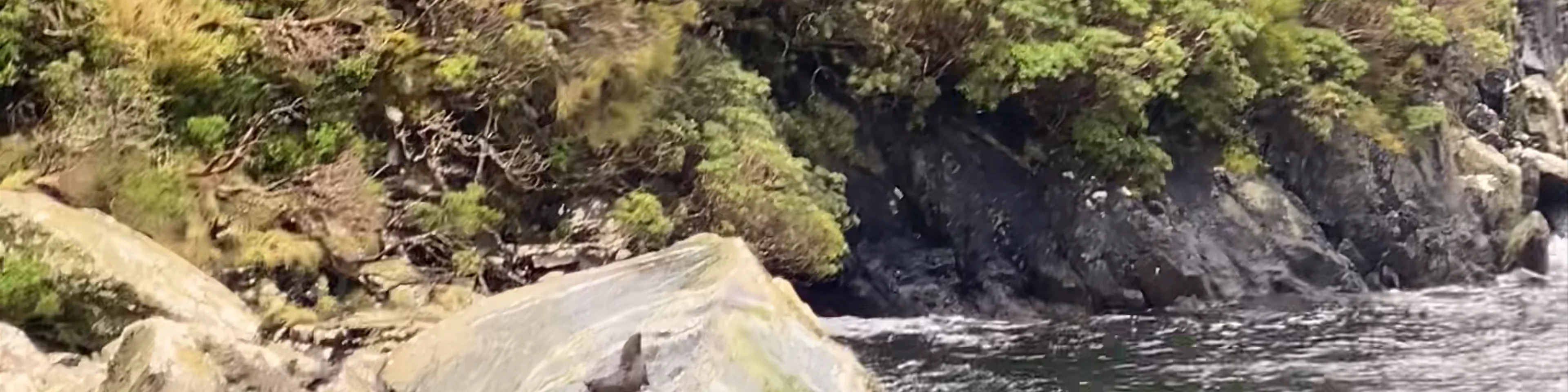 Seal Rock