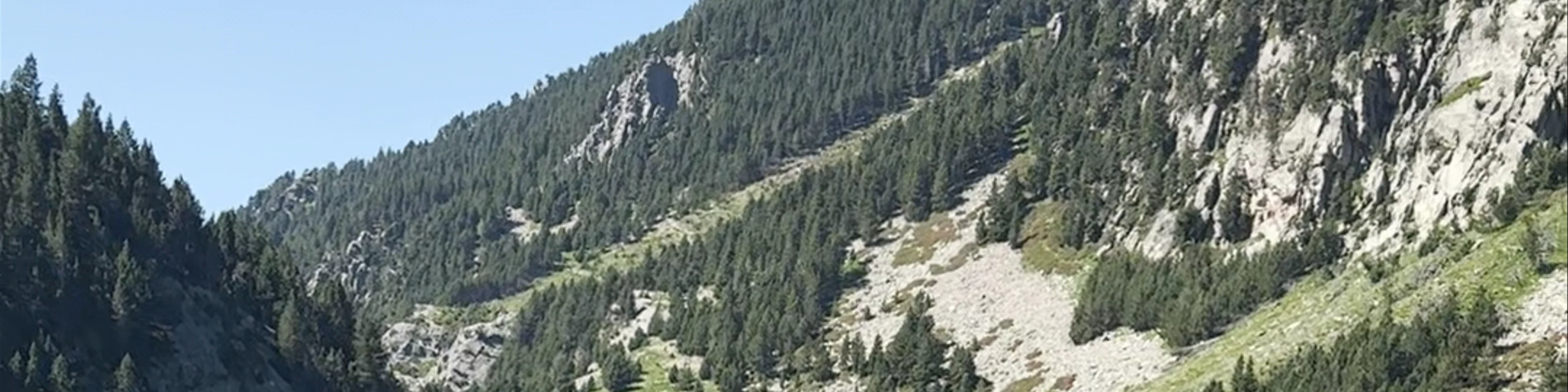 Vall de Núria