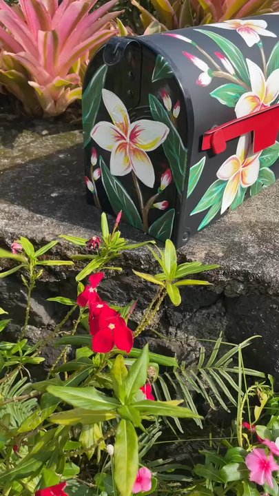 Mandy Tardif - We love our new "plumeria" mailbox! - Face Painting Near Me