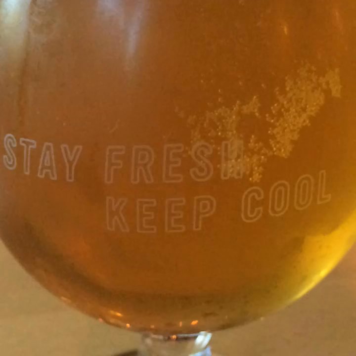 Baerlic Brewing - Nice & easy: salted oat gose--  slow mo vid - Breweries Near Me - Portland, Oregon