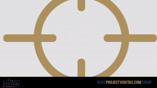 Video Thumbnail Loop