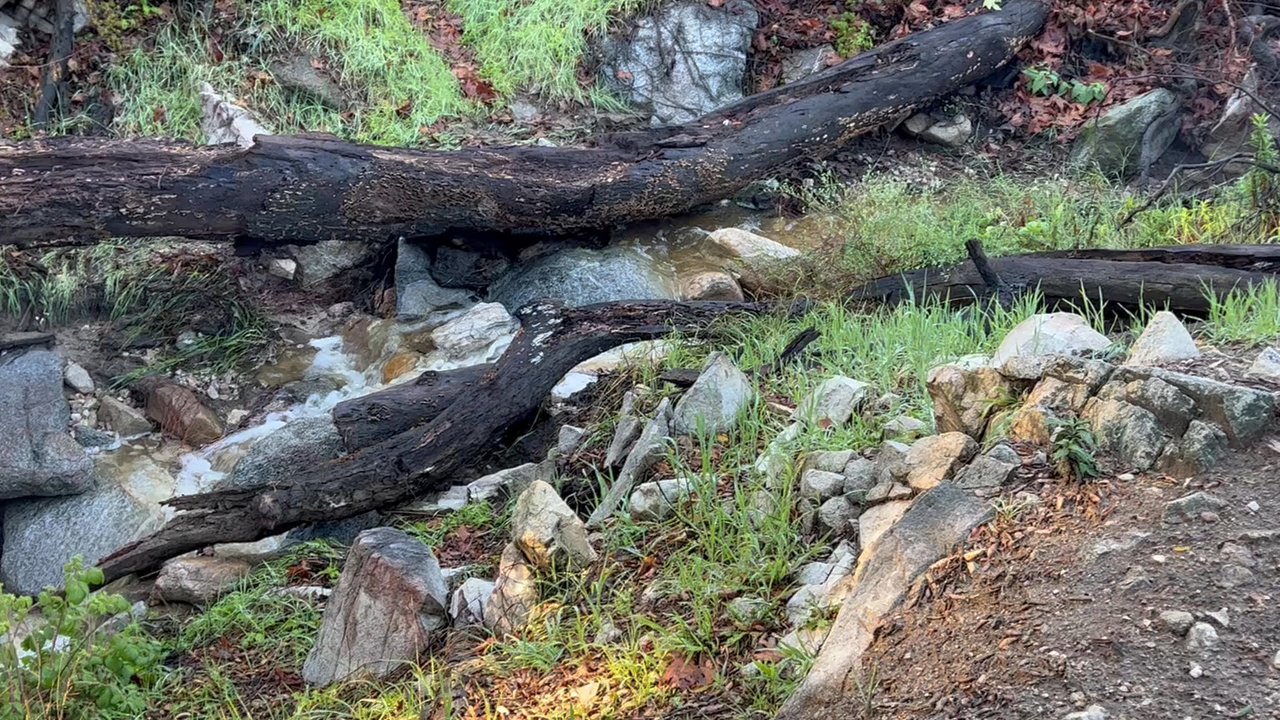 Owl Trail - Nice amount of water in the stream - Hiking Near Me - La Cañada Flintridge, California