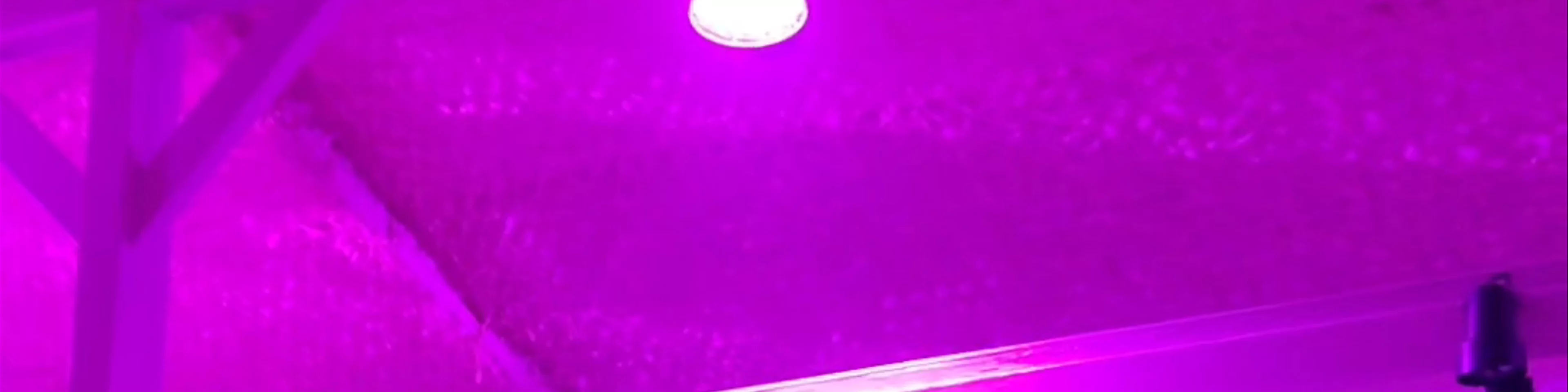Cabana Beach Bar
