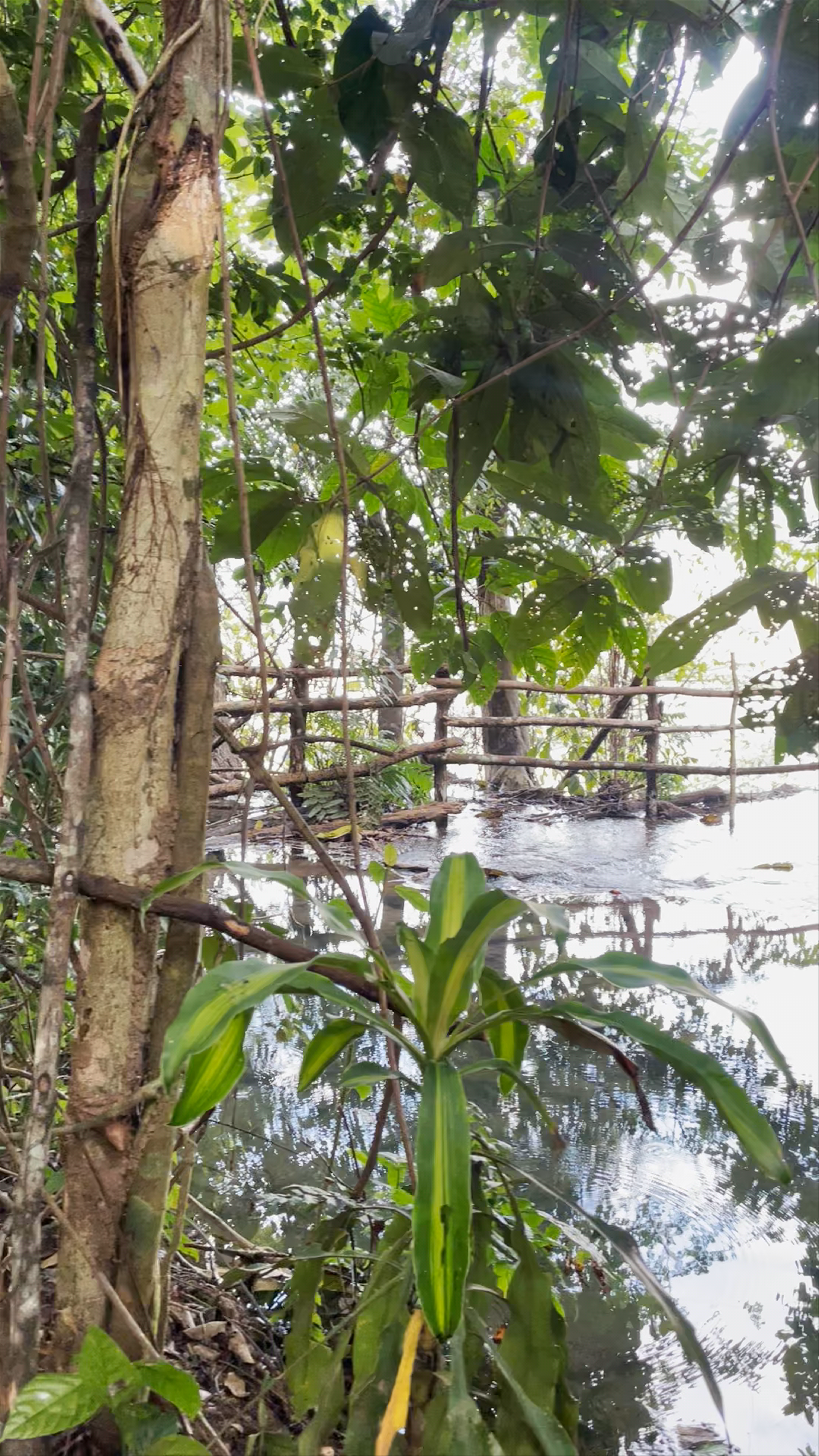 Kuang Si Waterfall: A Hidden Tropical Oasis in Ban Long, Laos
