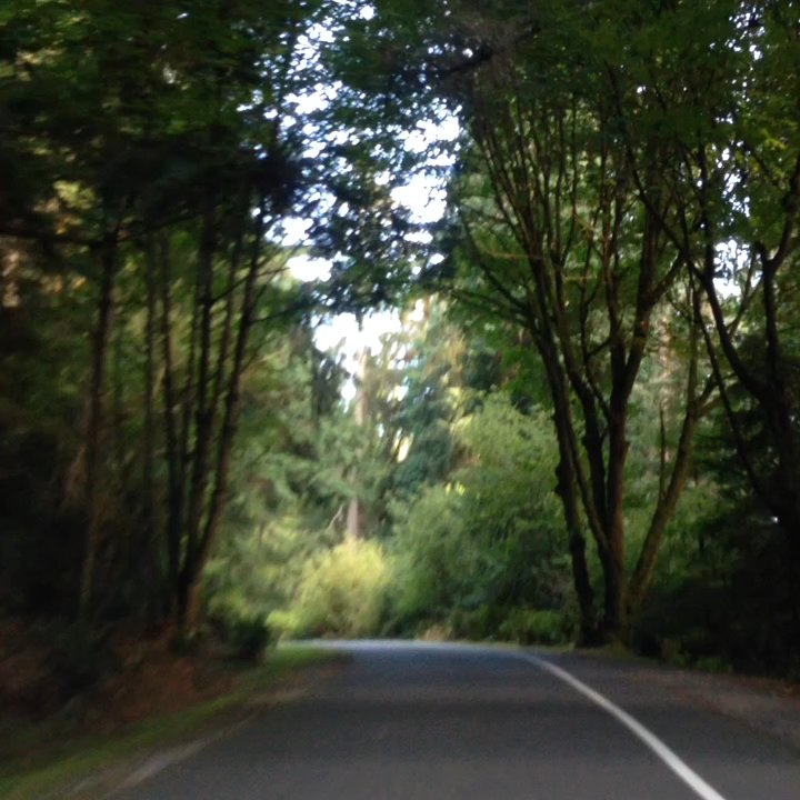 Five Mile Drive - Parks Near Me - Tacoma, Washington