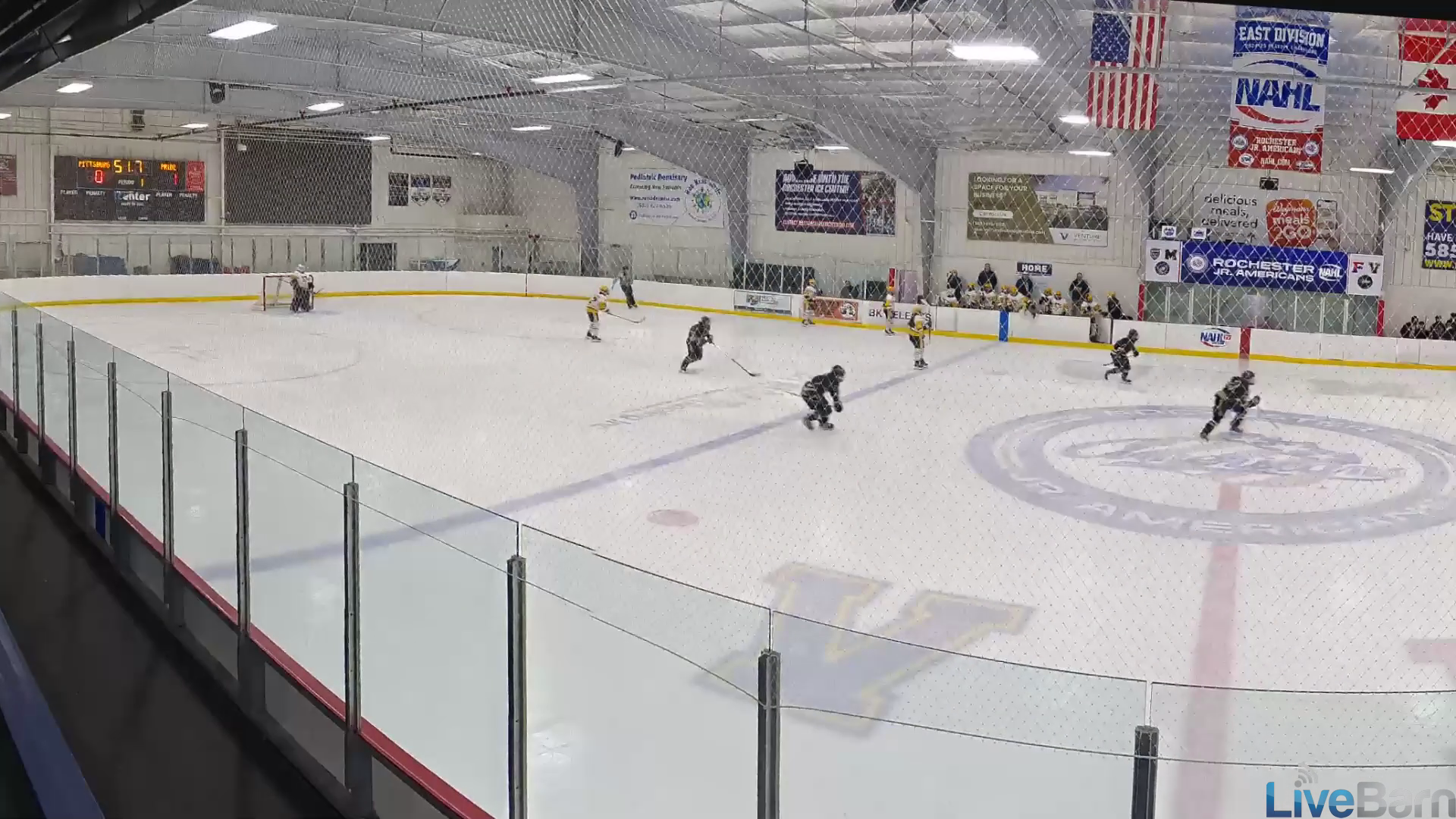 Layla Pegnato's Elite Play: Cross-Ice Pass Leads to Breakaway Goal