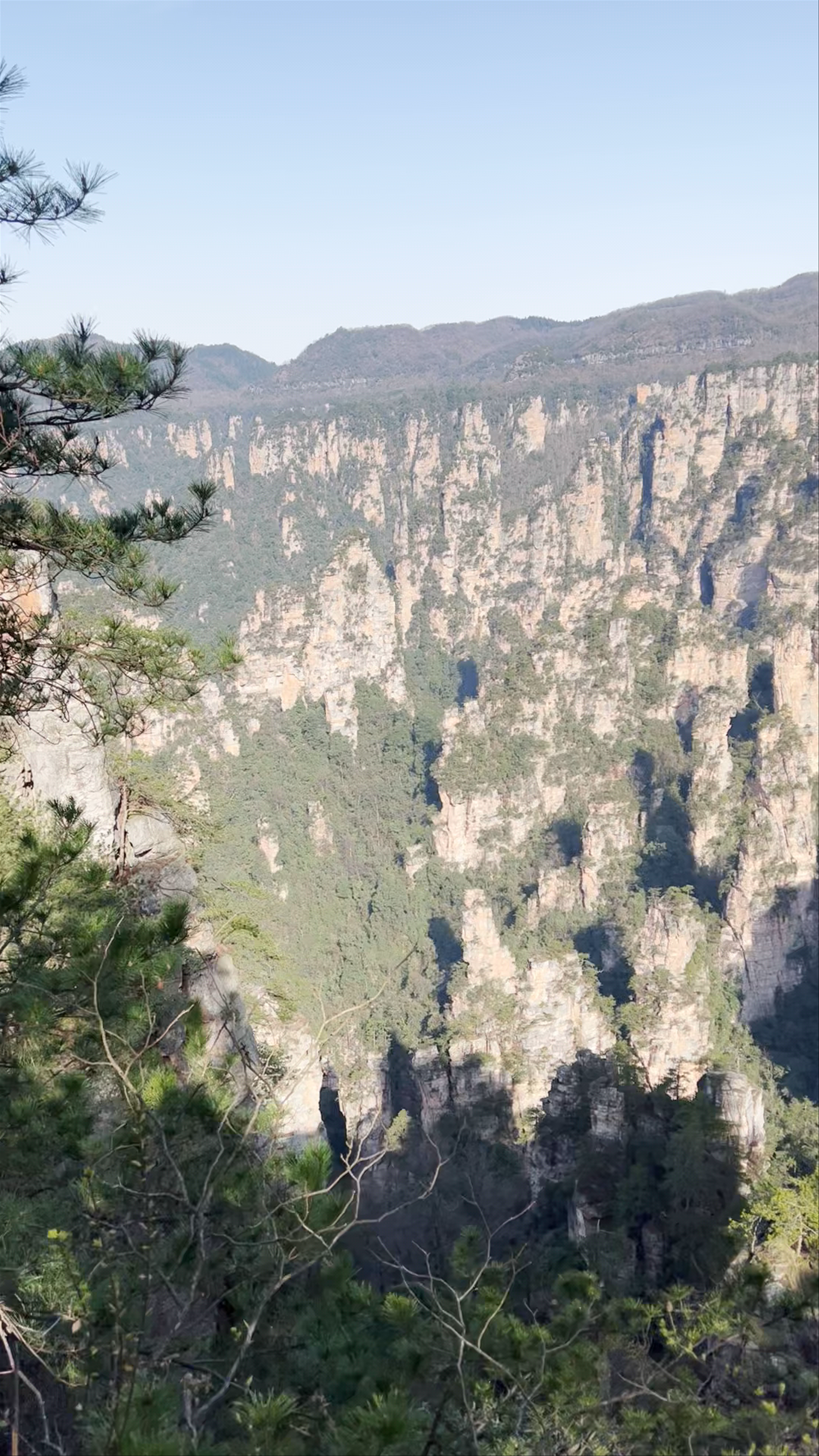 Tianzishan Nature Reserve: Majestic Pillars of Zhangjiajie