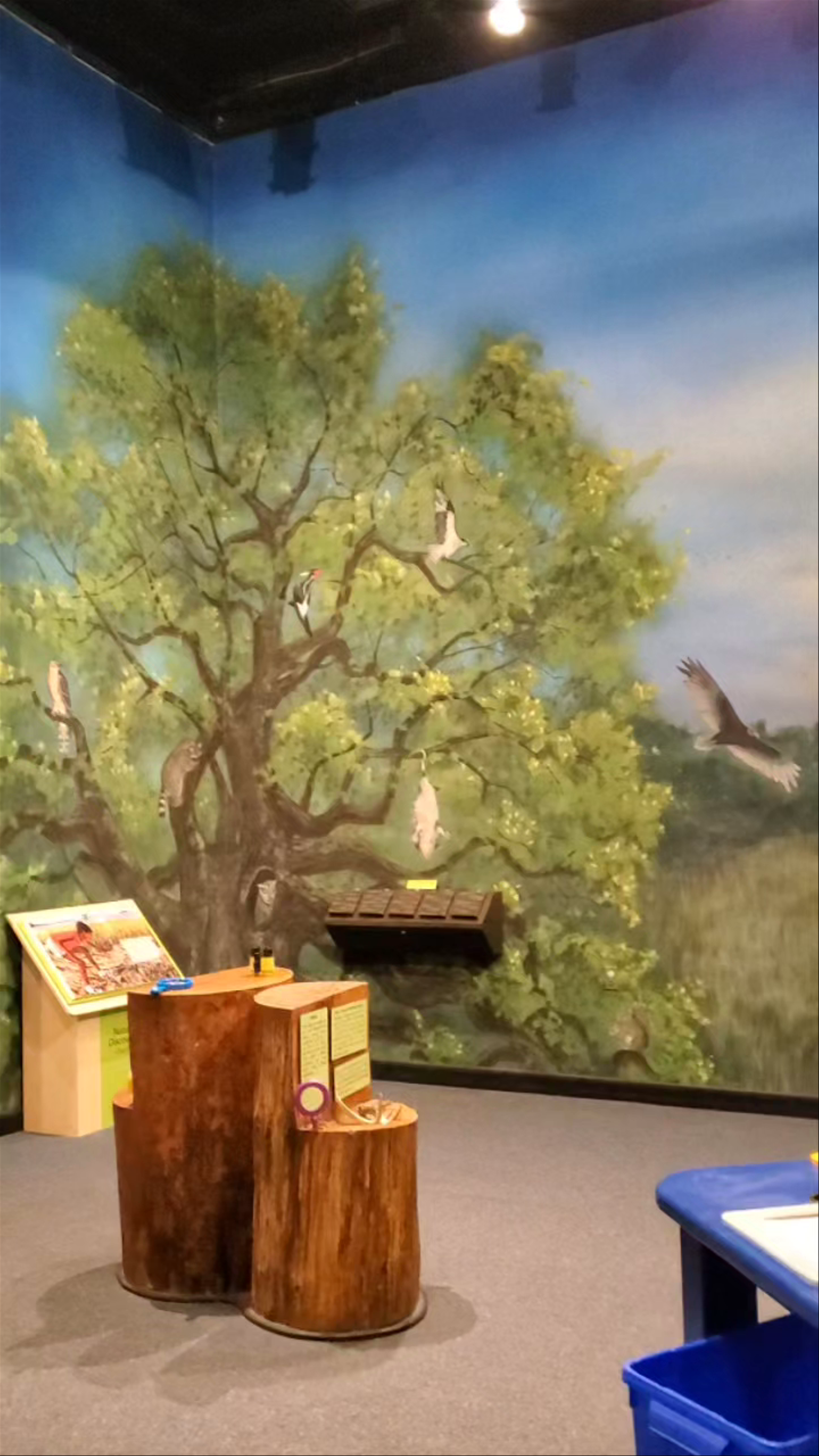 The Charleston Museum