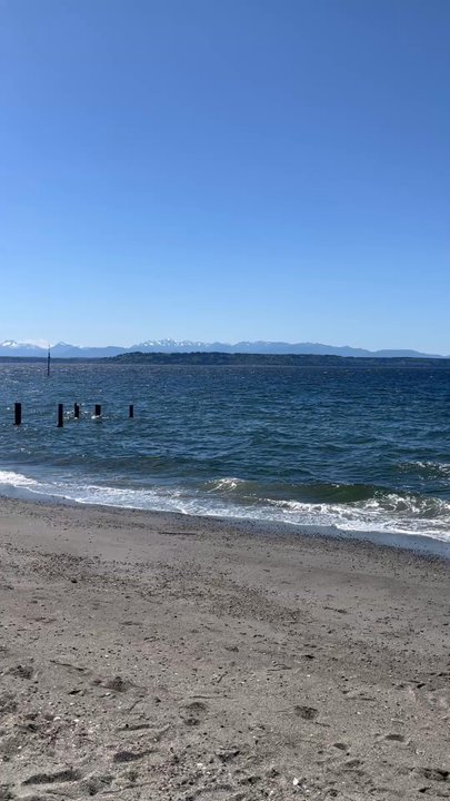 Olympic Beach - A beautiful afternoon in April waiting for the ferry. - Beaches Near Me - Edmonds, Washington