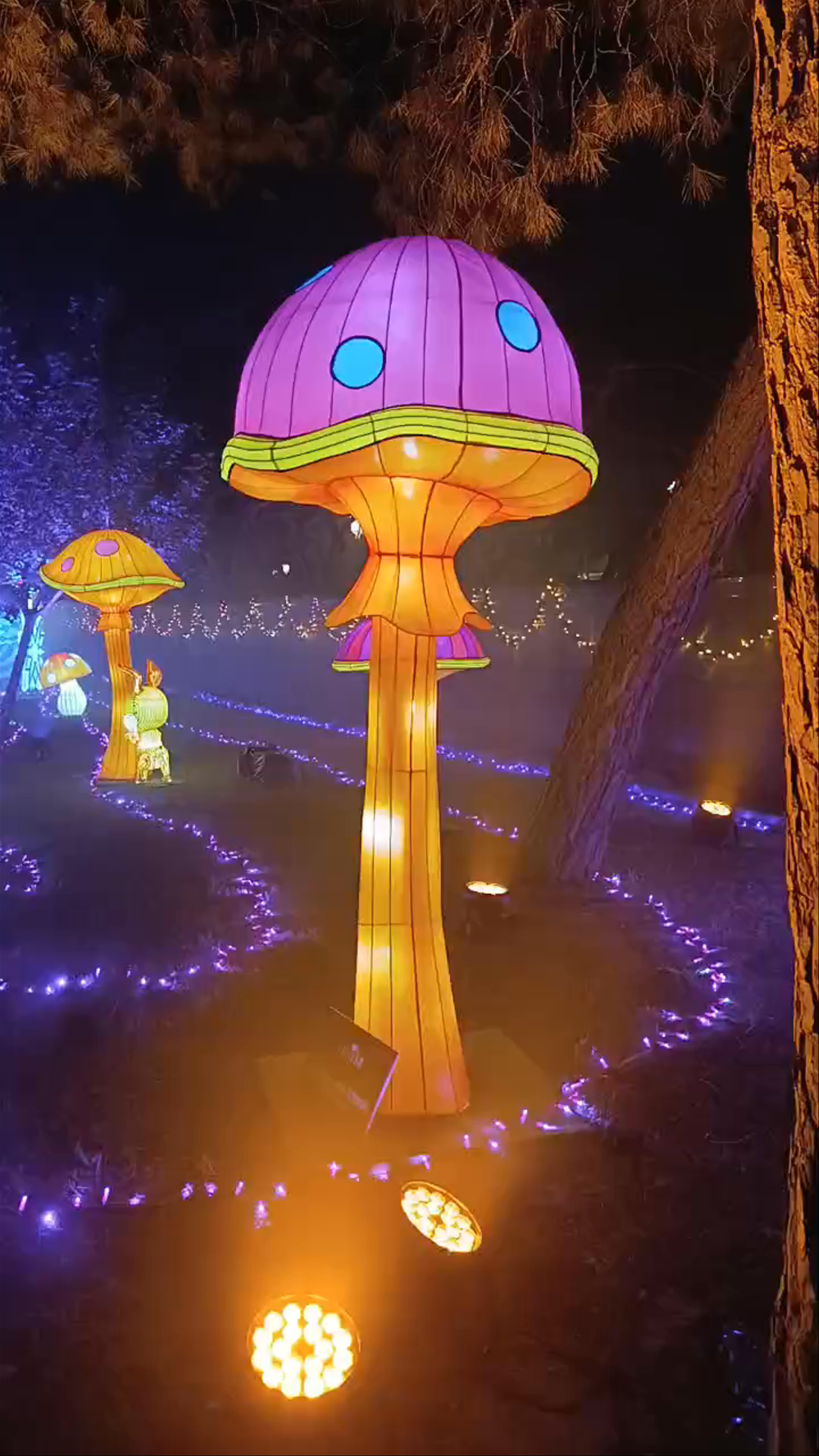 Parque de la Compañía