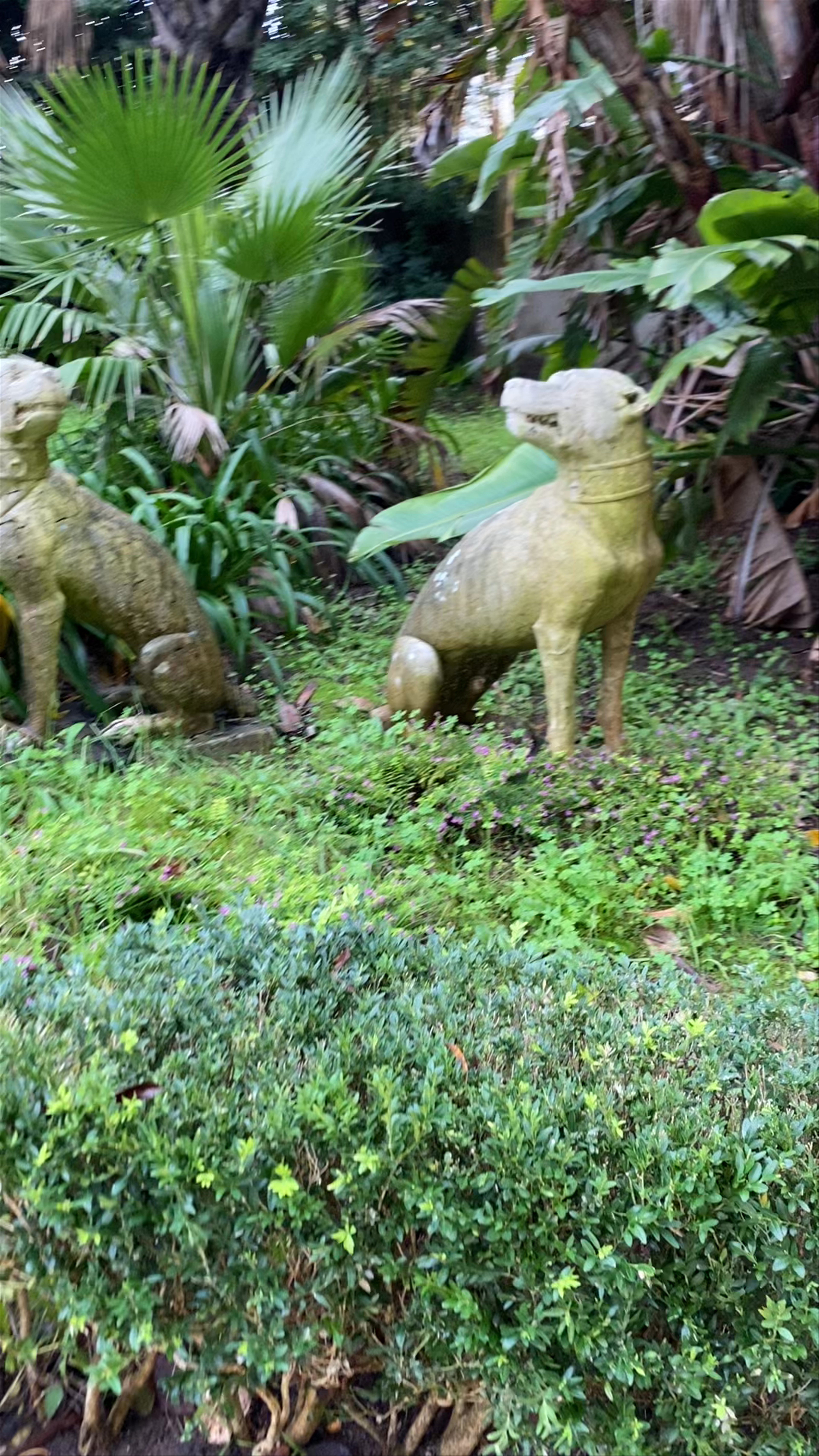 Jardim Botânico Tropical