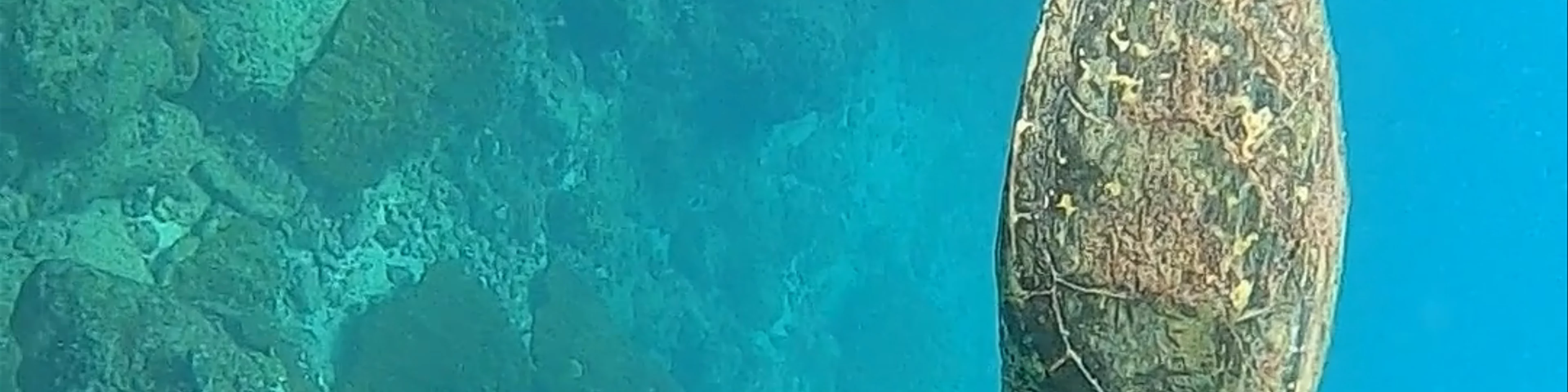 Isla del Cano