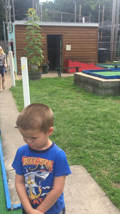 Fun Acre - Classic pastime for every family! - Mini Golf Near Me - Springfield, Missouri
