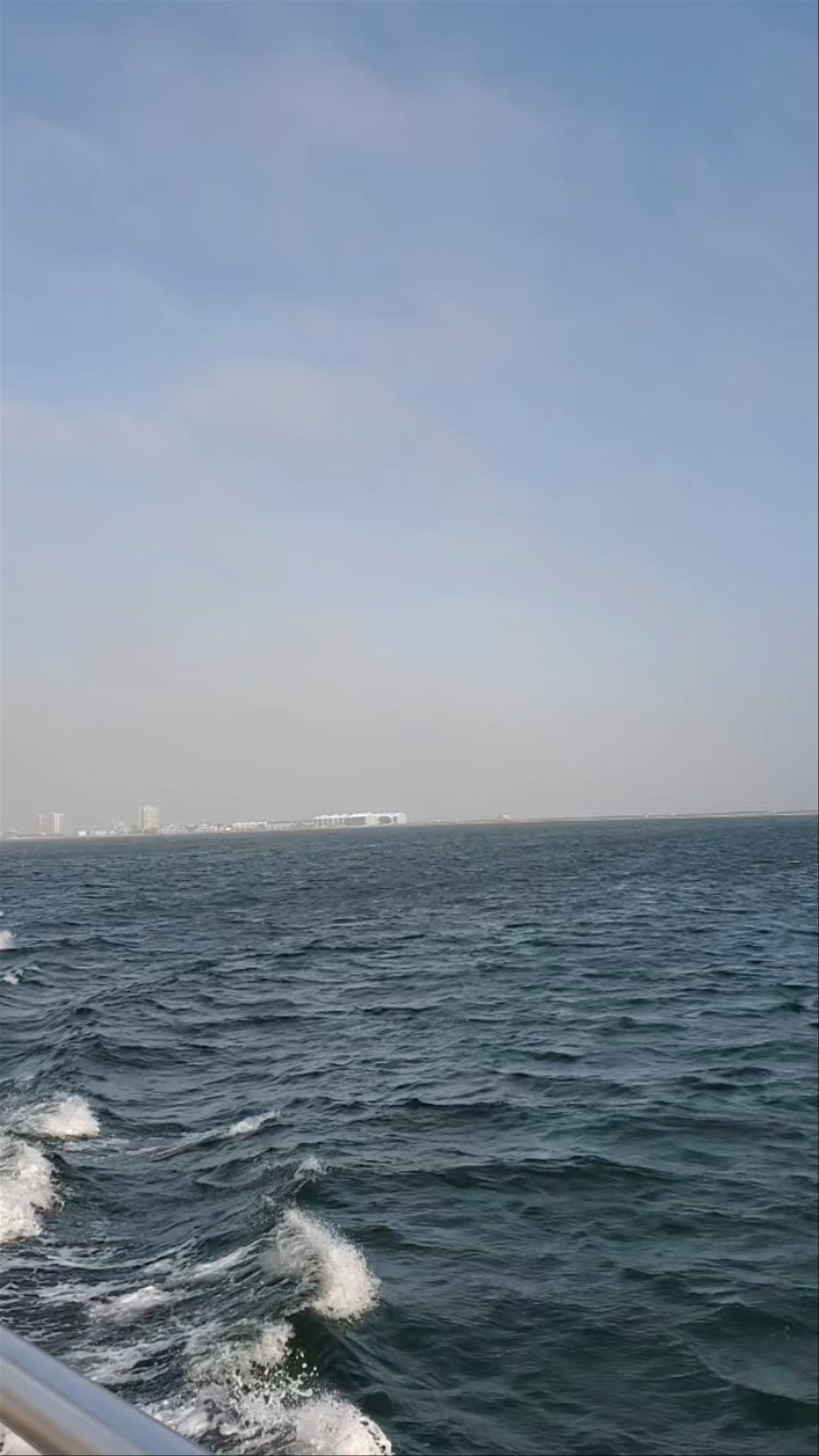 Frisky Mermaid Dolphin Cruises & Pontoon Boat Rentals