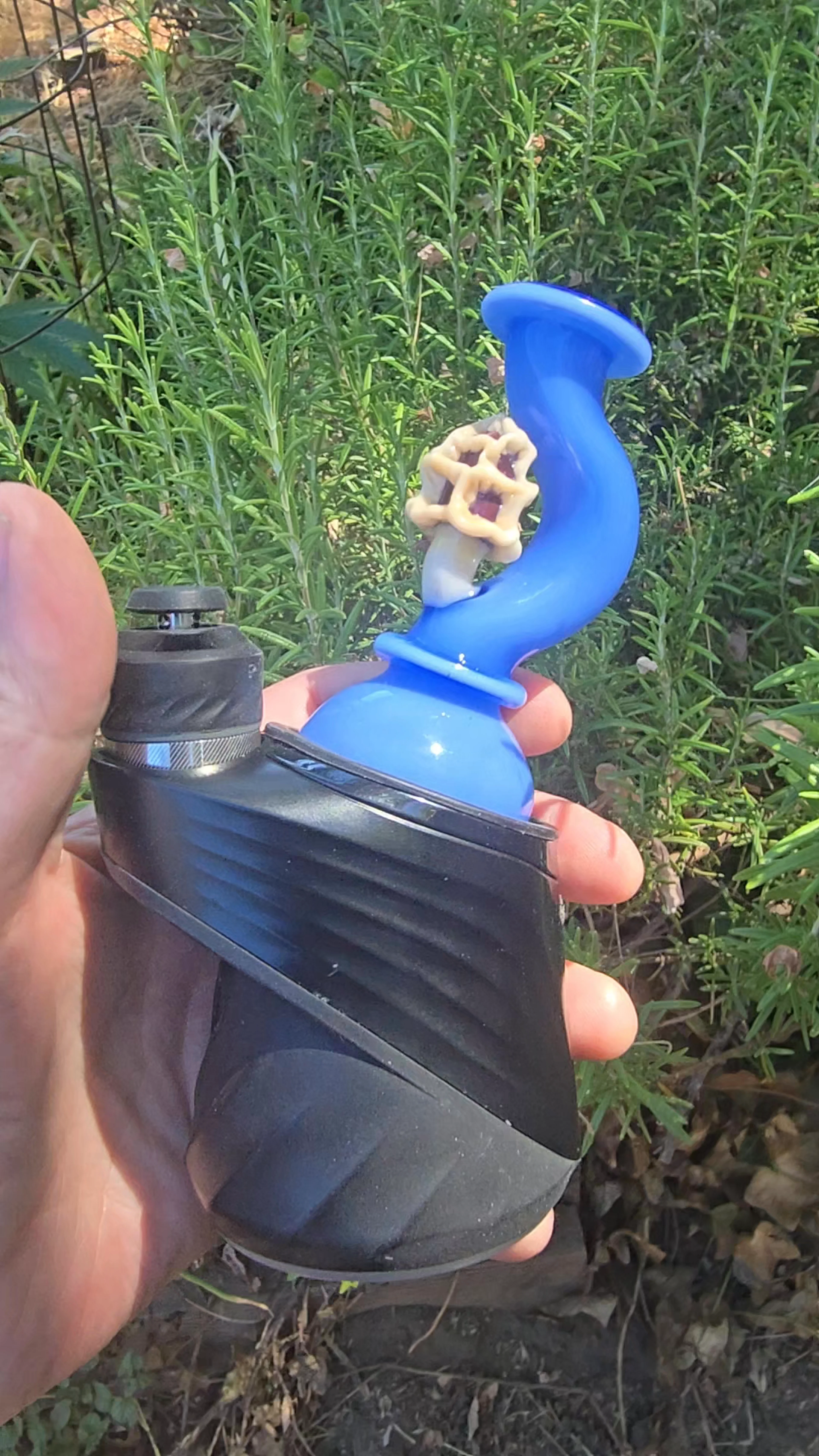 Preview pic of Morel bender back dry top