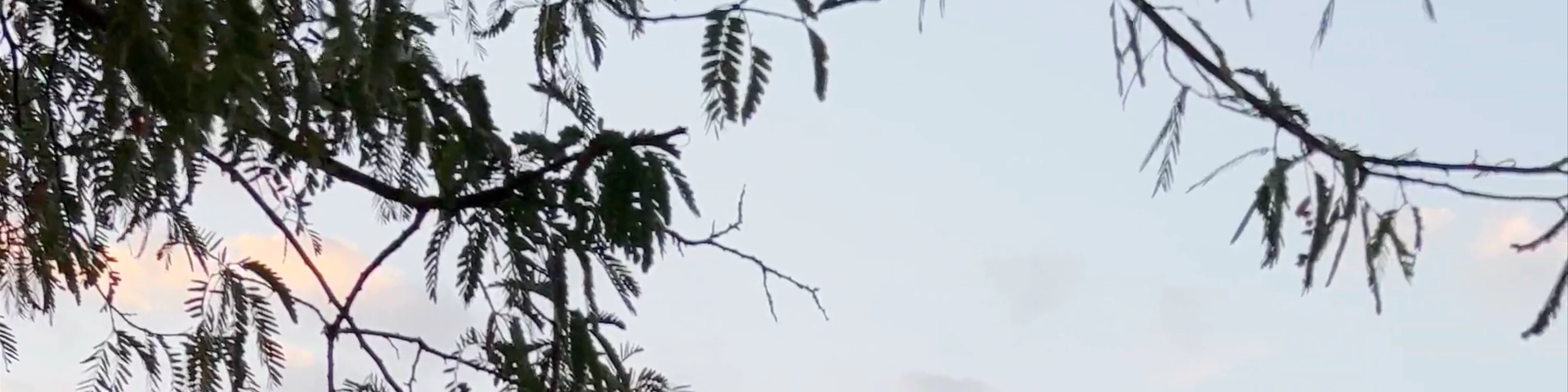 Phousi Hill