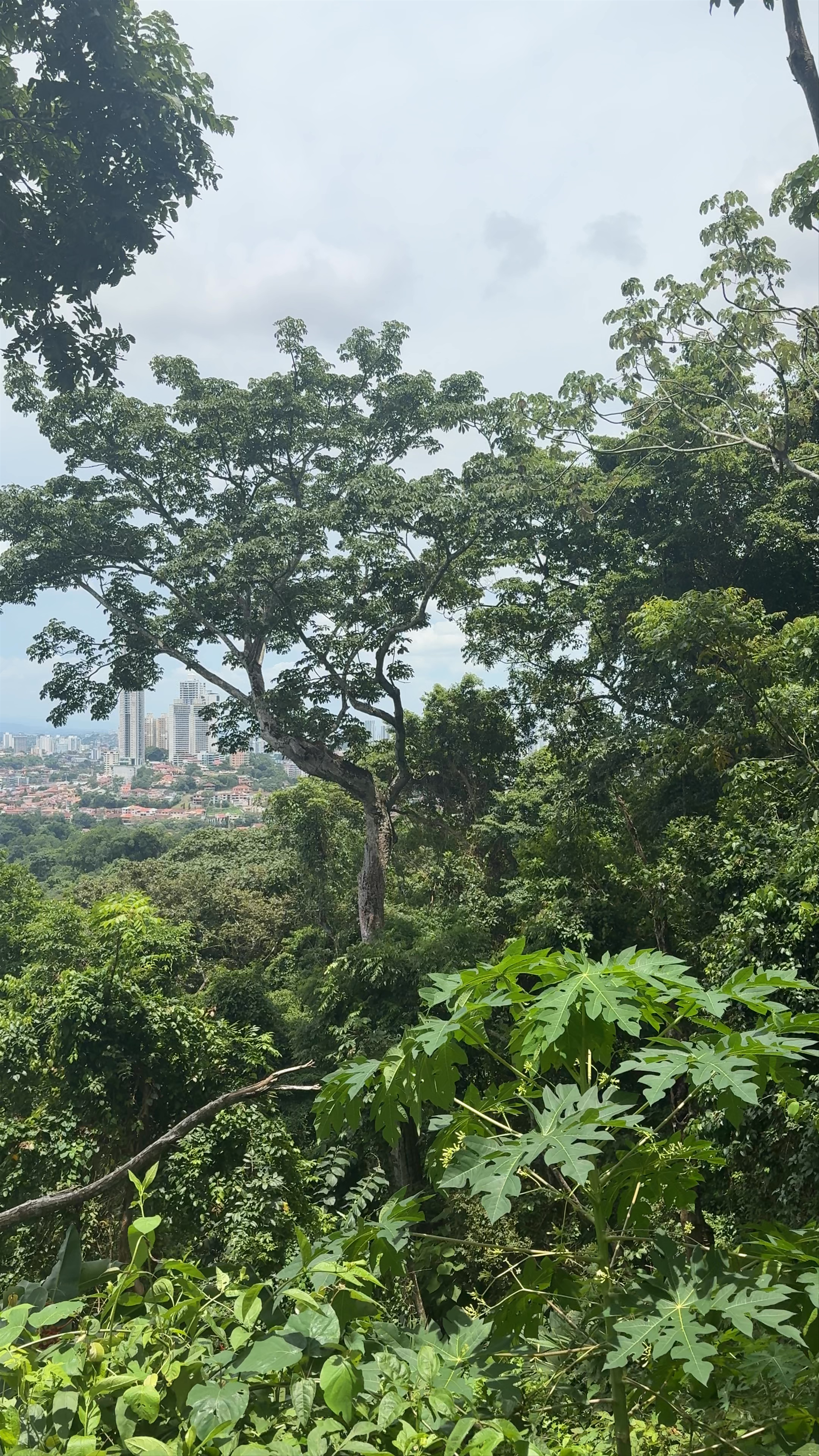 Metropolitan Natural Park