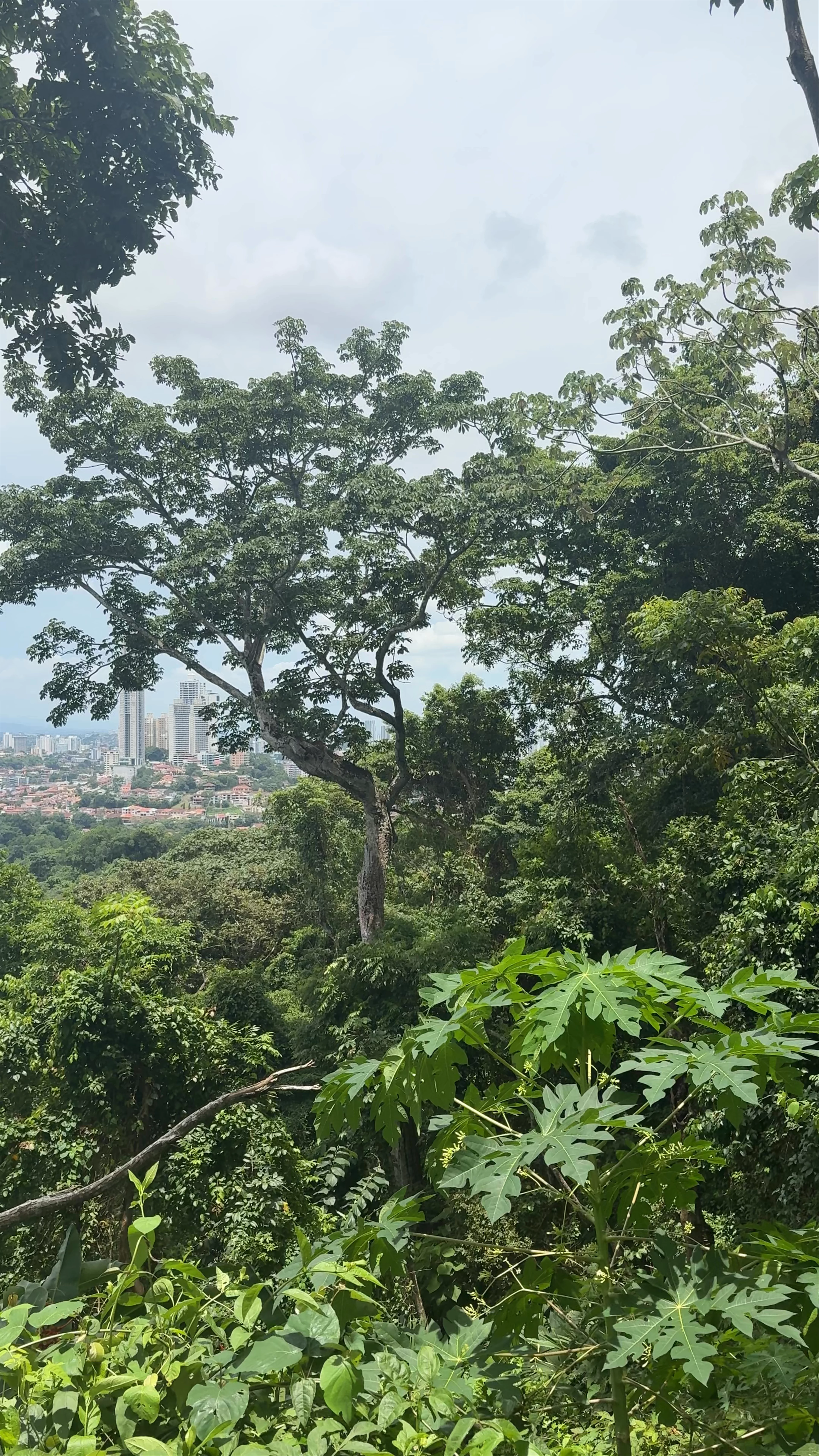 Metropolitan Natural Park