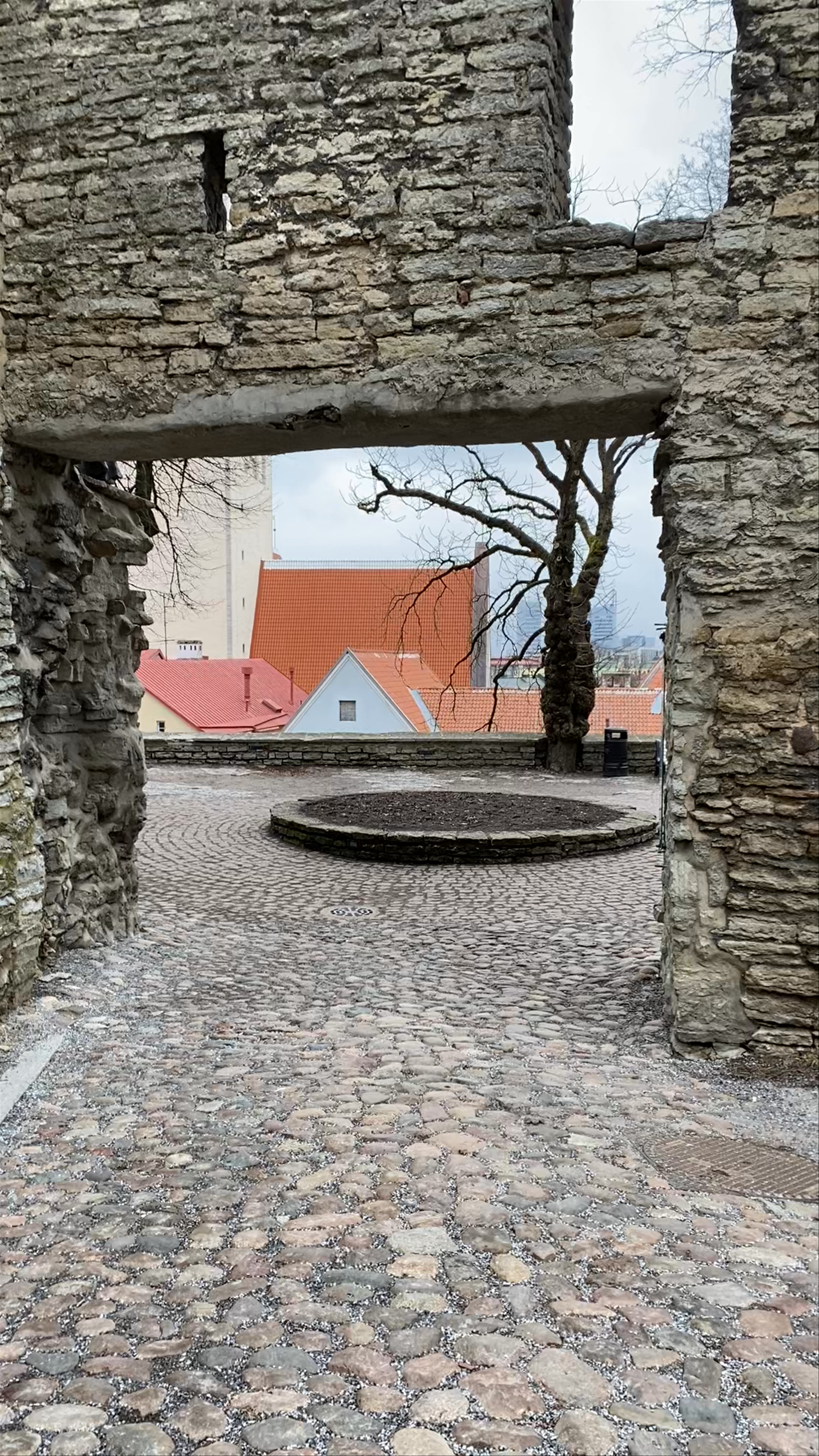 Danish King's Garden