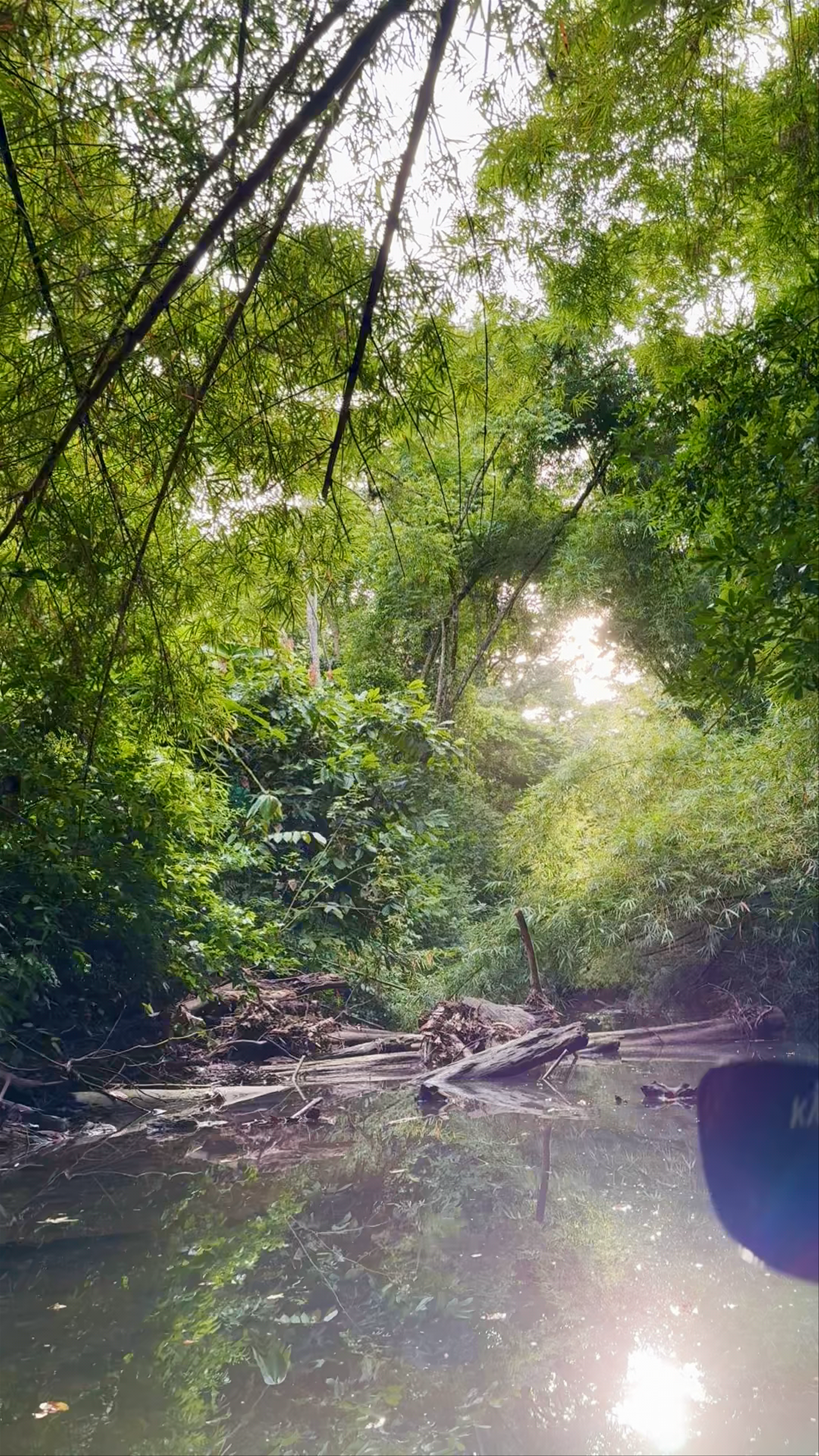 Quebrada Ernesto