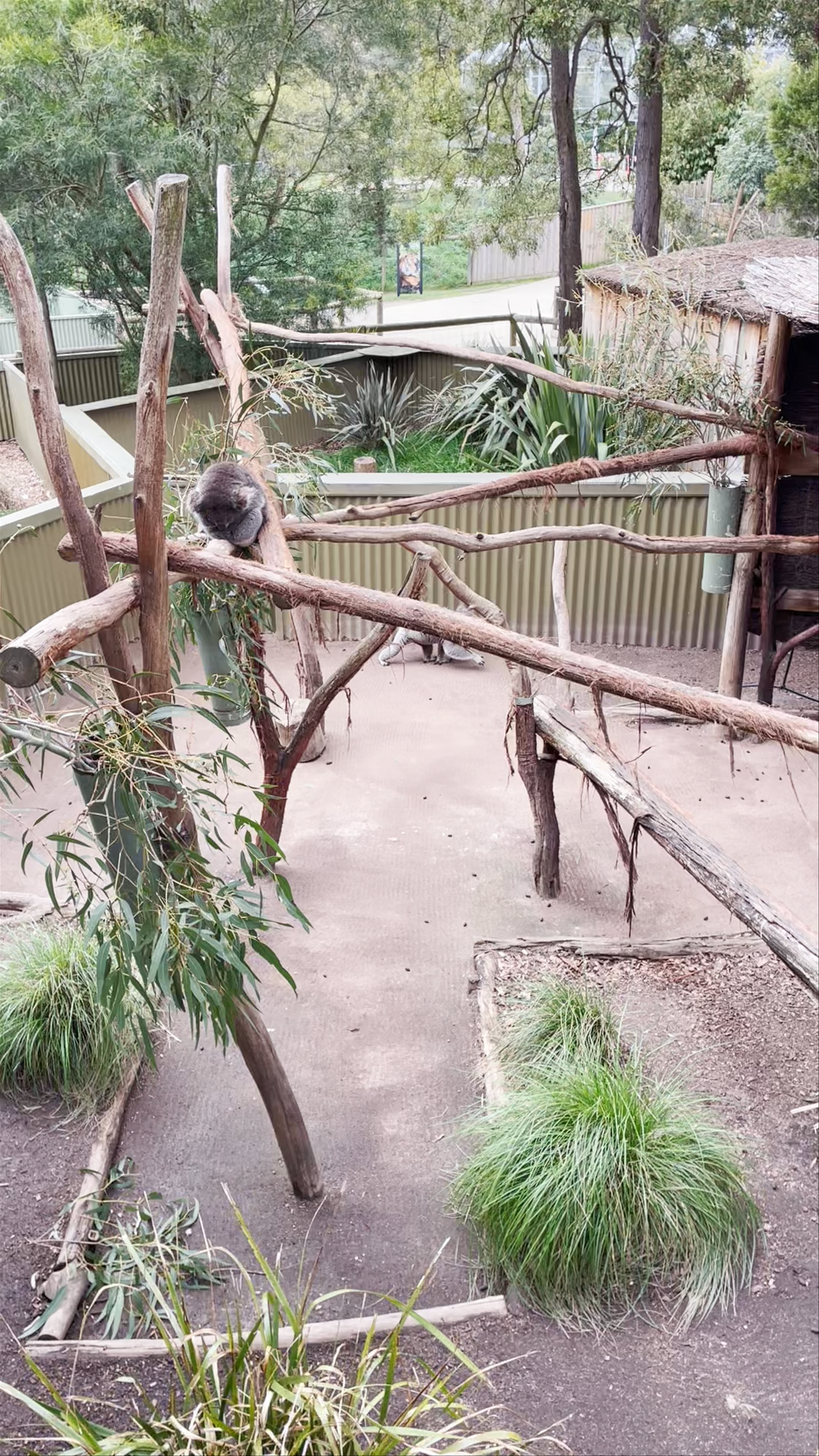 Ballarat Wildlife Park