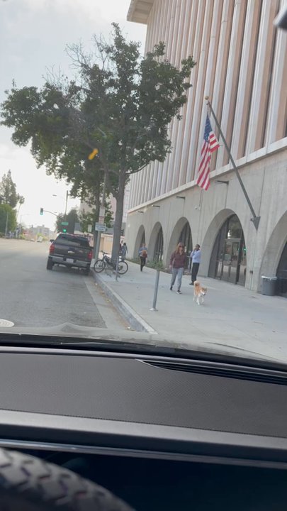 Pasadena Courthouse - Walking her doggy - Courthouses Near Me - Pasadena, California