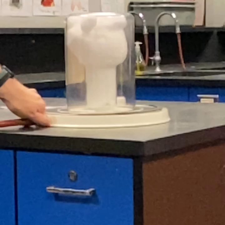 Northgate High School - Average Chem Honors lab - Elementary Schools Near Me - Walnut Creek, California