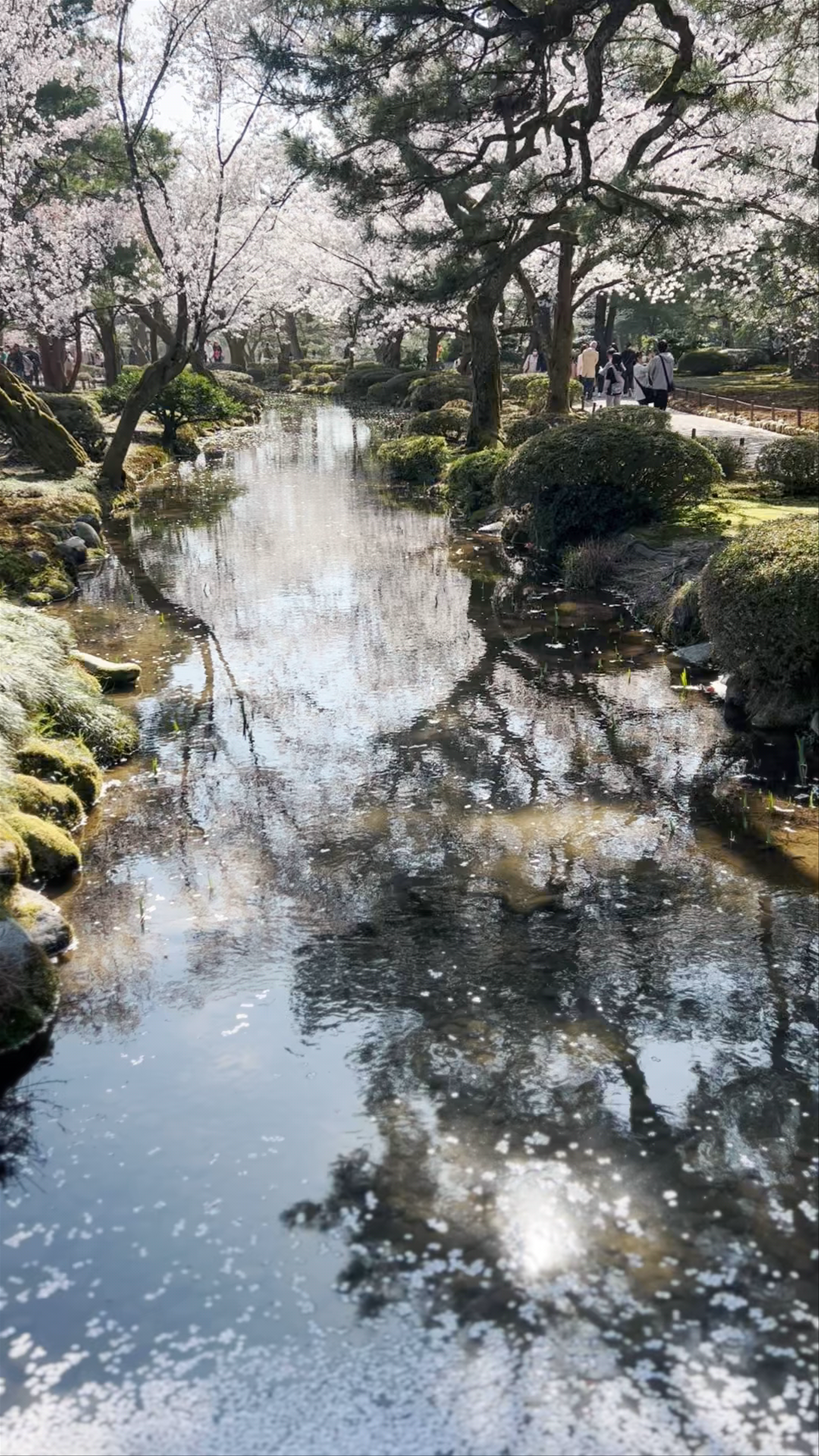 Kenroku-en Garden: Springtime Serenity in Kanazawa