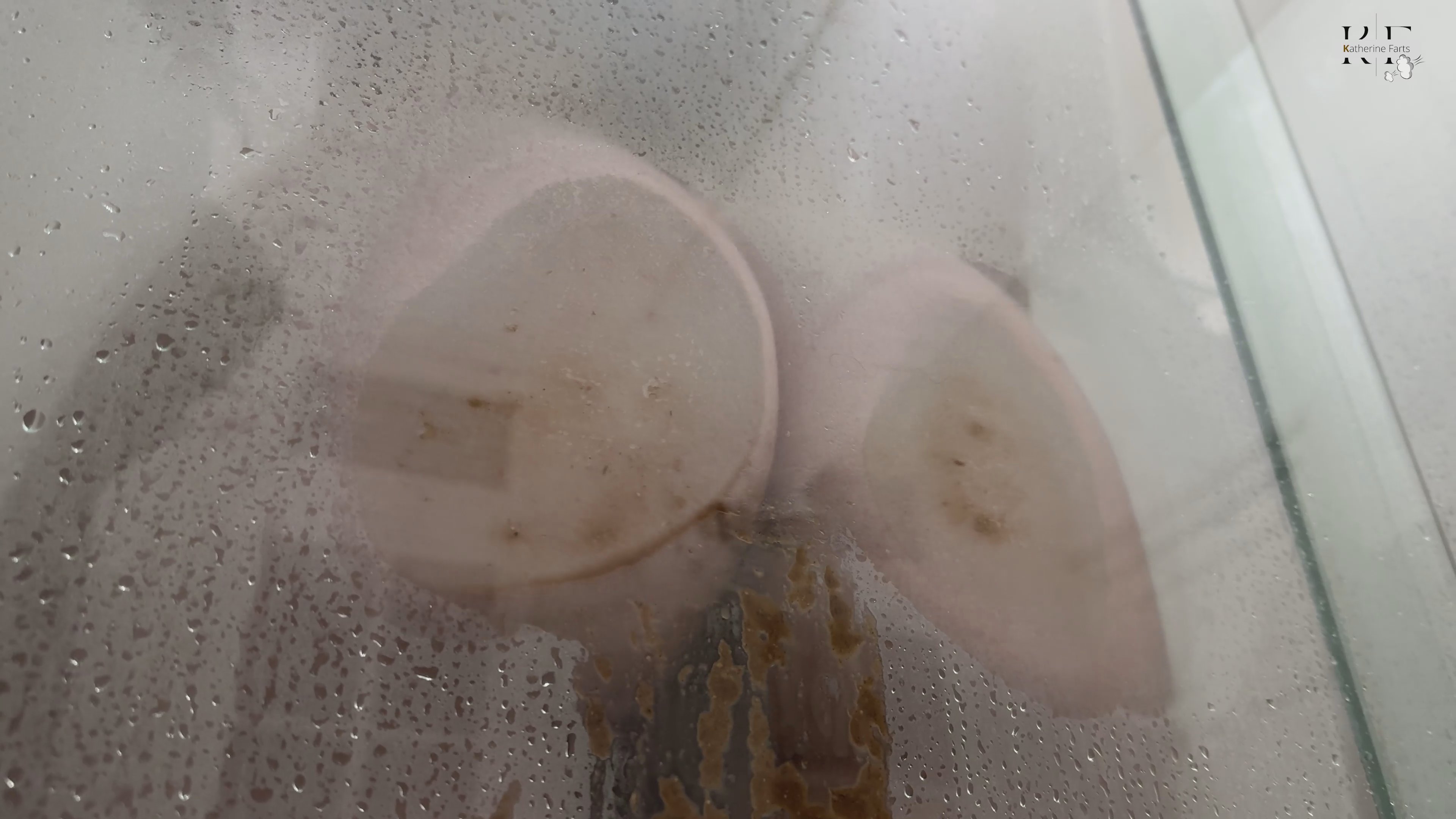 Extreme Diarrhea Explosion In Bathtub — premium video by KatherineFarts