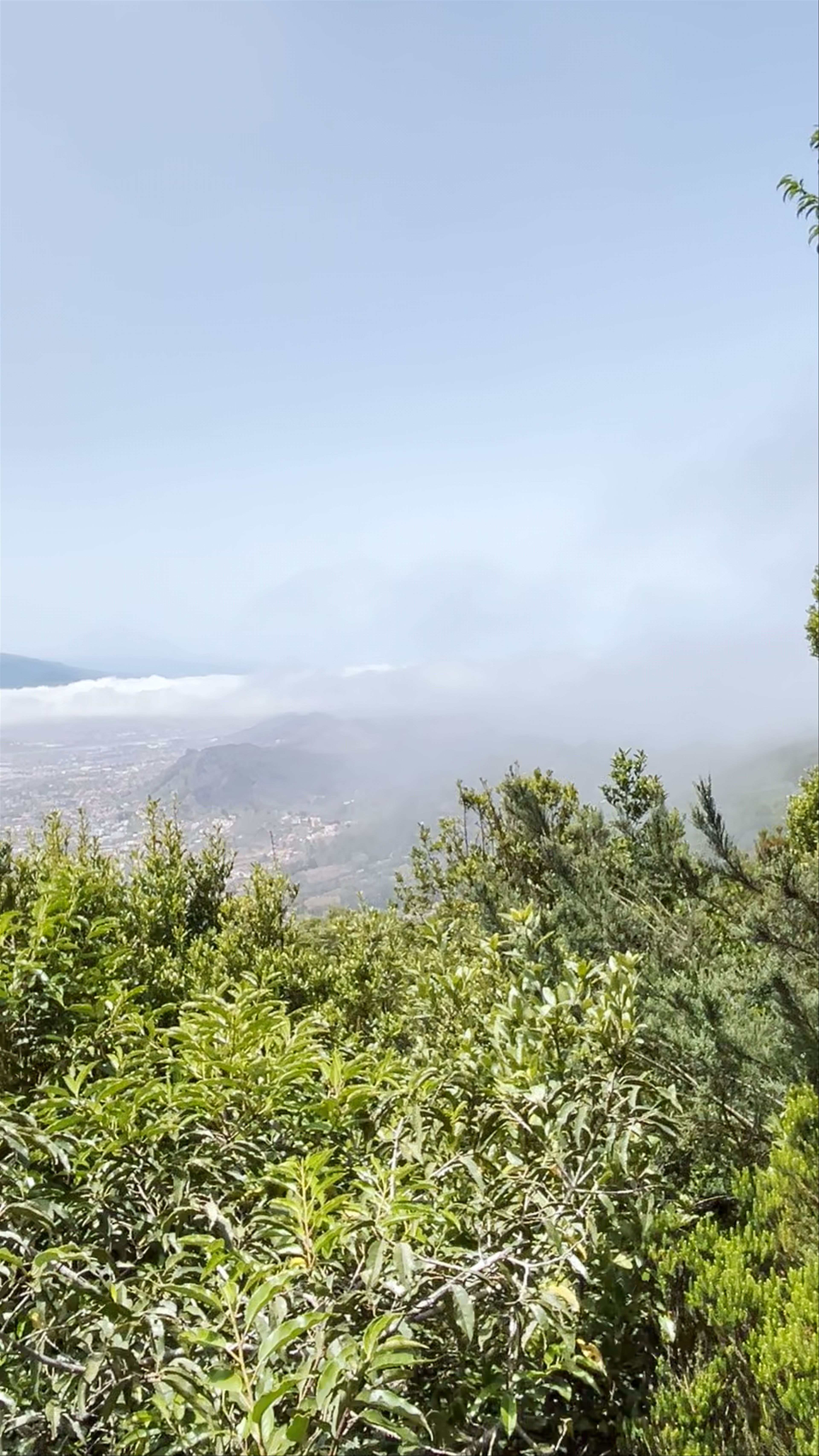 Mirador Cruz del Carmen
