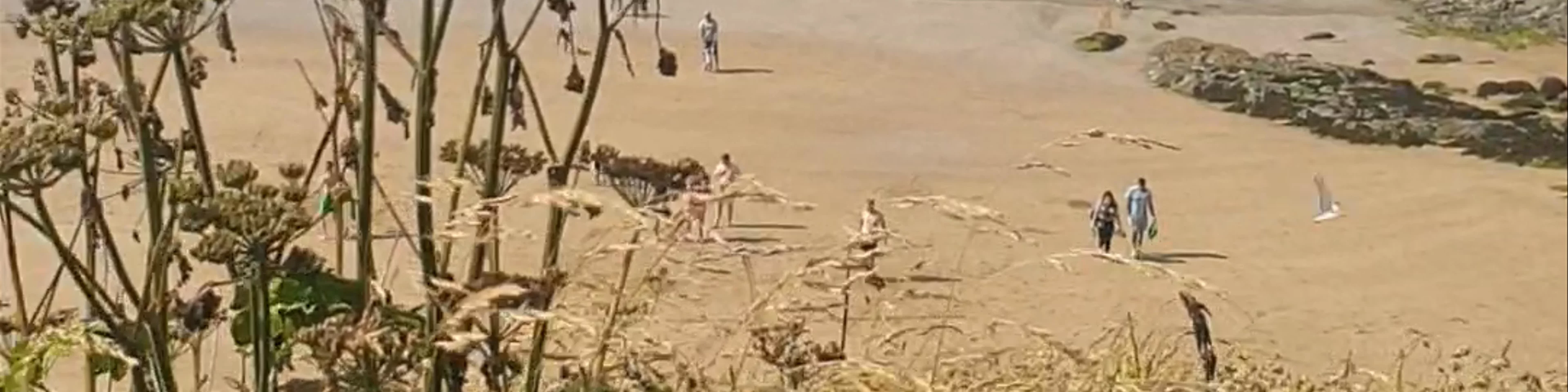 Towan Beach
