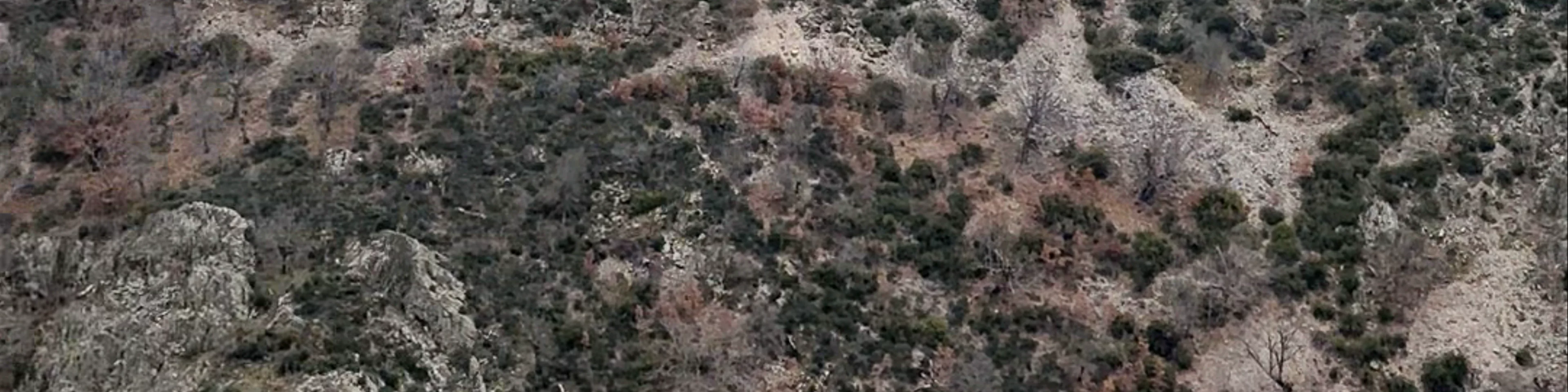 Mirador de los Buitres