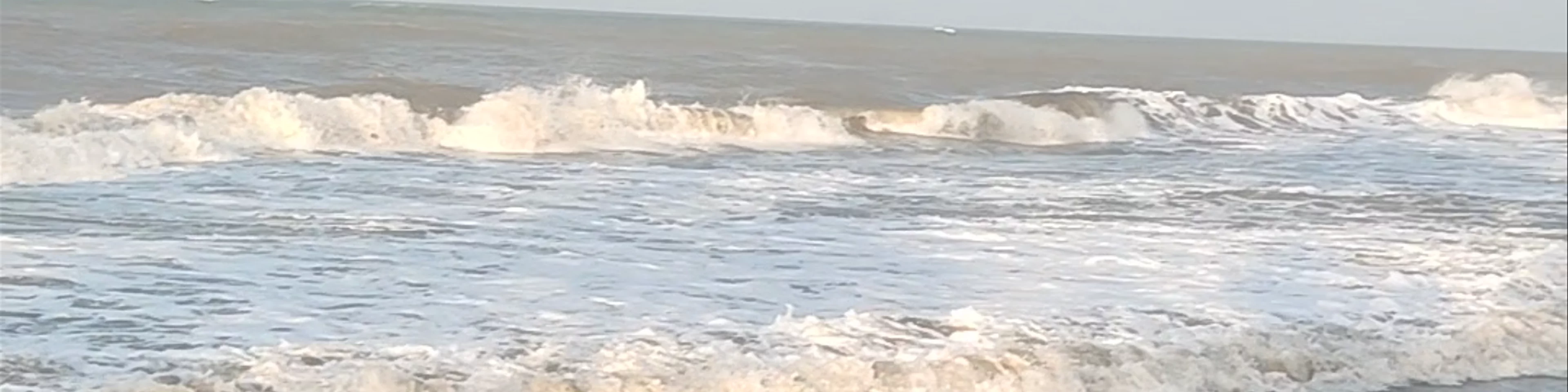 Playa Palomino