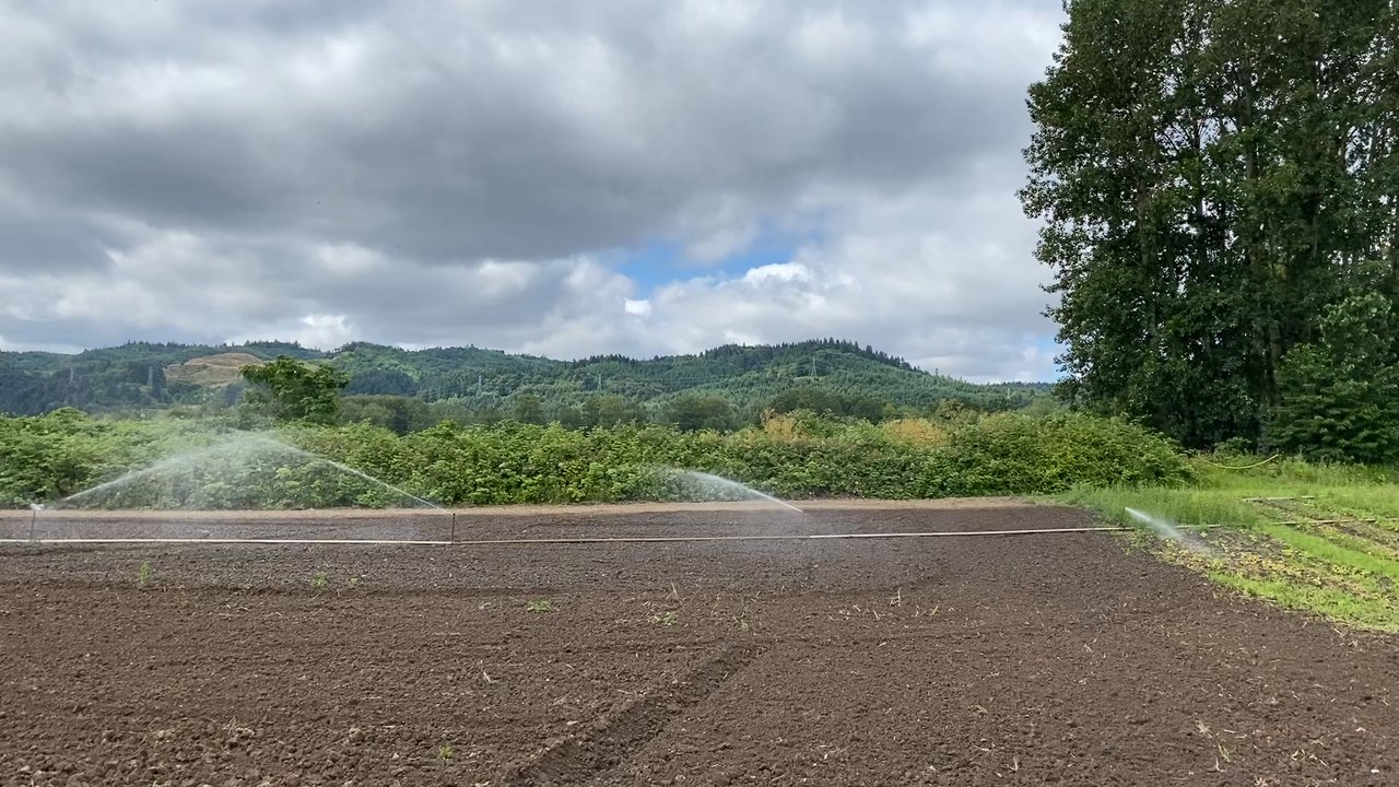 Topaz Farm - It is incredibly peaceful here ‍ - Farmers Market Near Me - Portland, Oregon