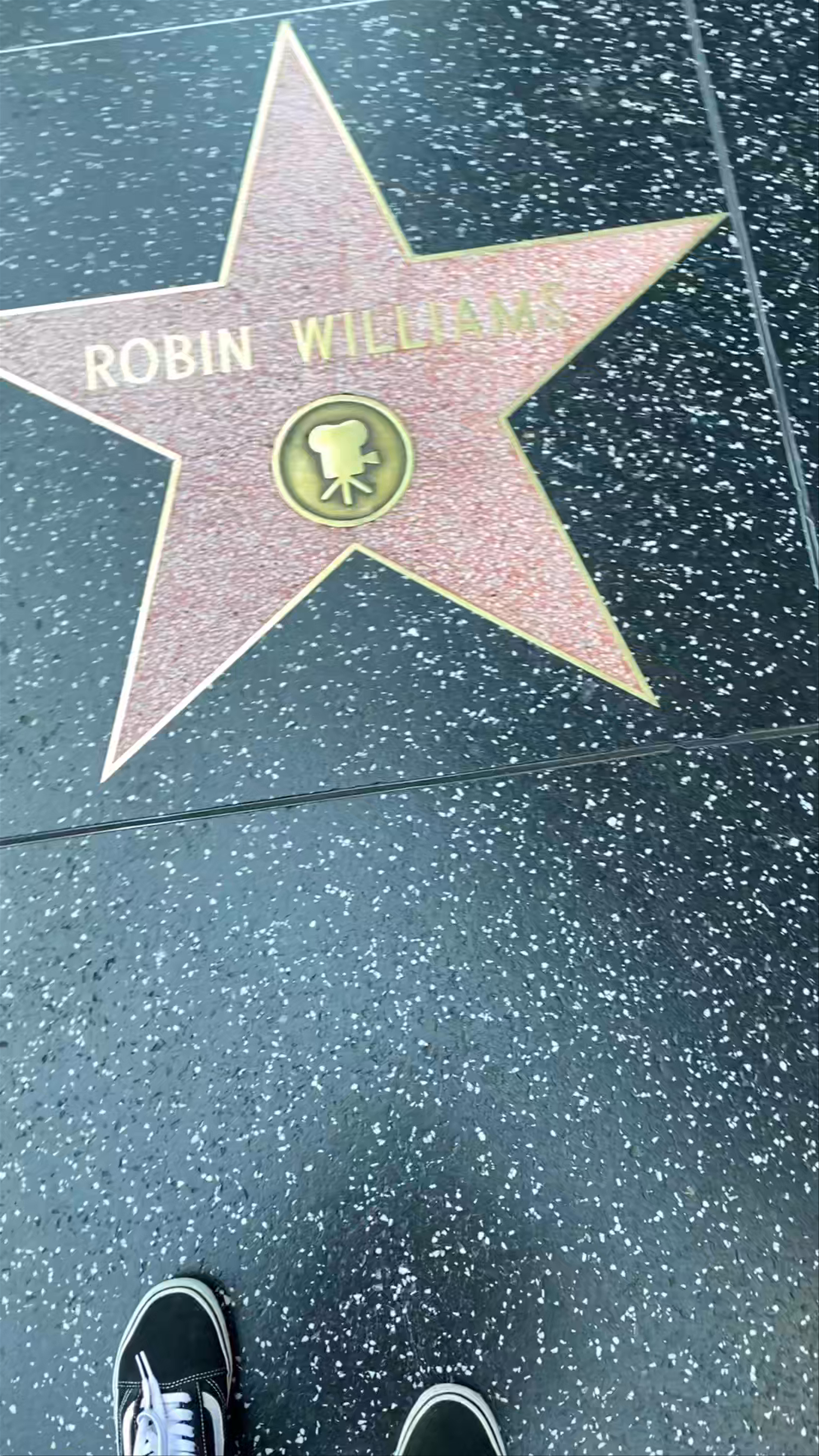 Hollywood Walk of Fame