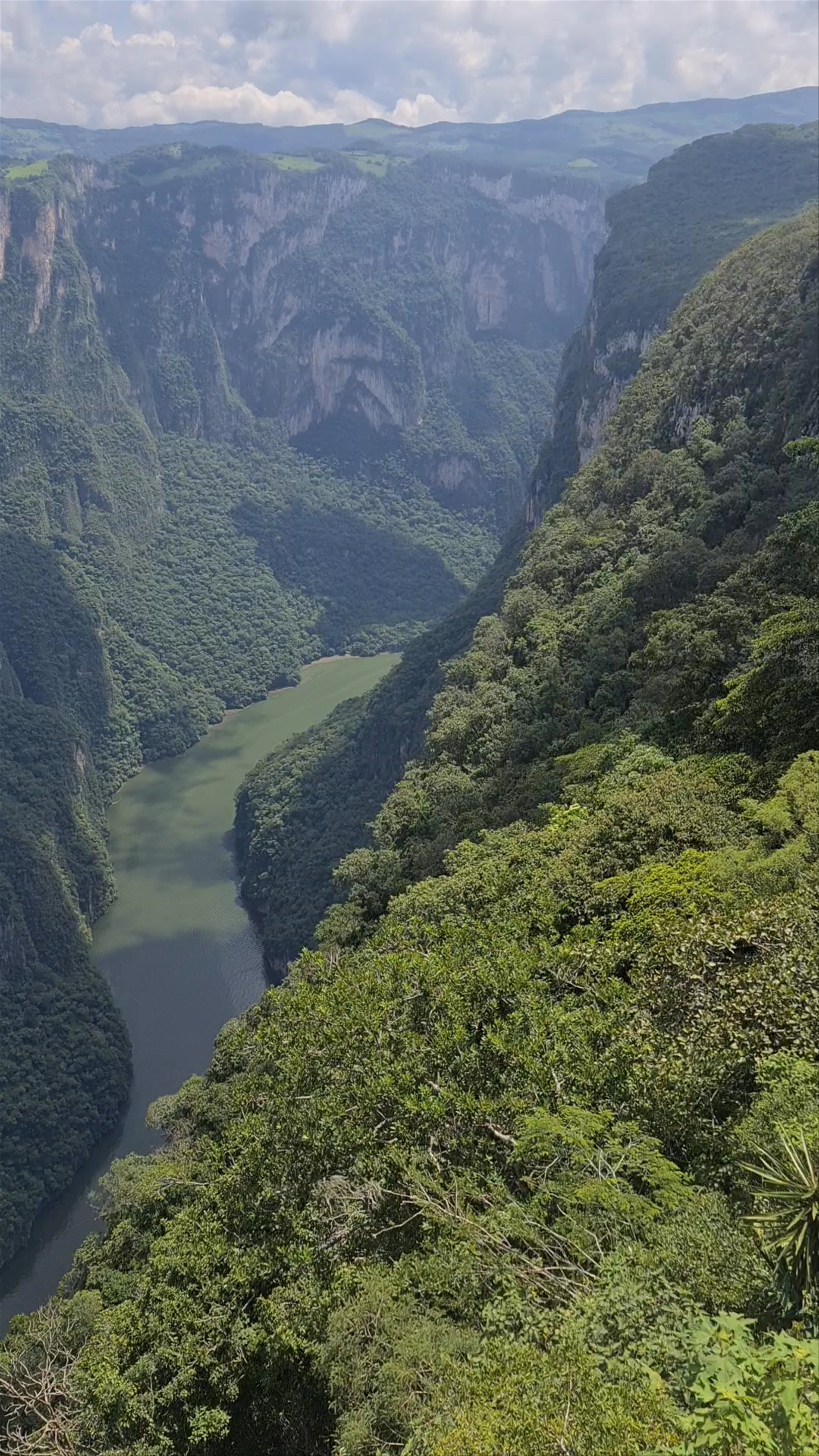 Spectacular Canyon Views at Sumidero Canyon Viewpoint, Chiapas, Mexico