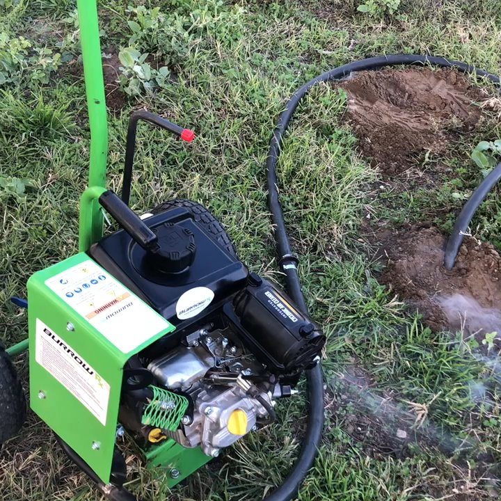 NSB Pest Solutions - Gopher treatment. - Pest Control Near Me