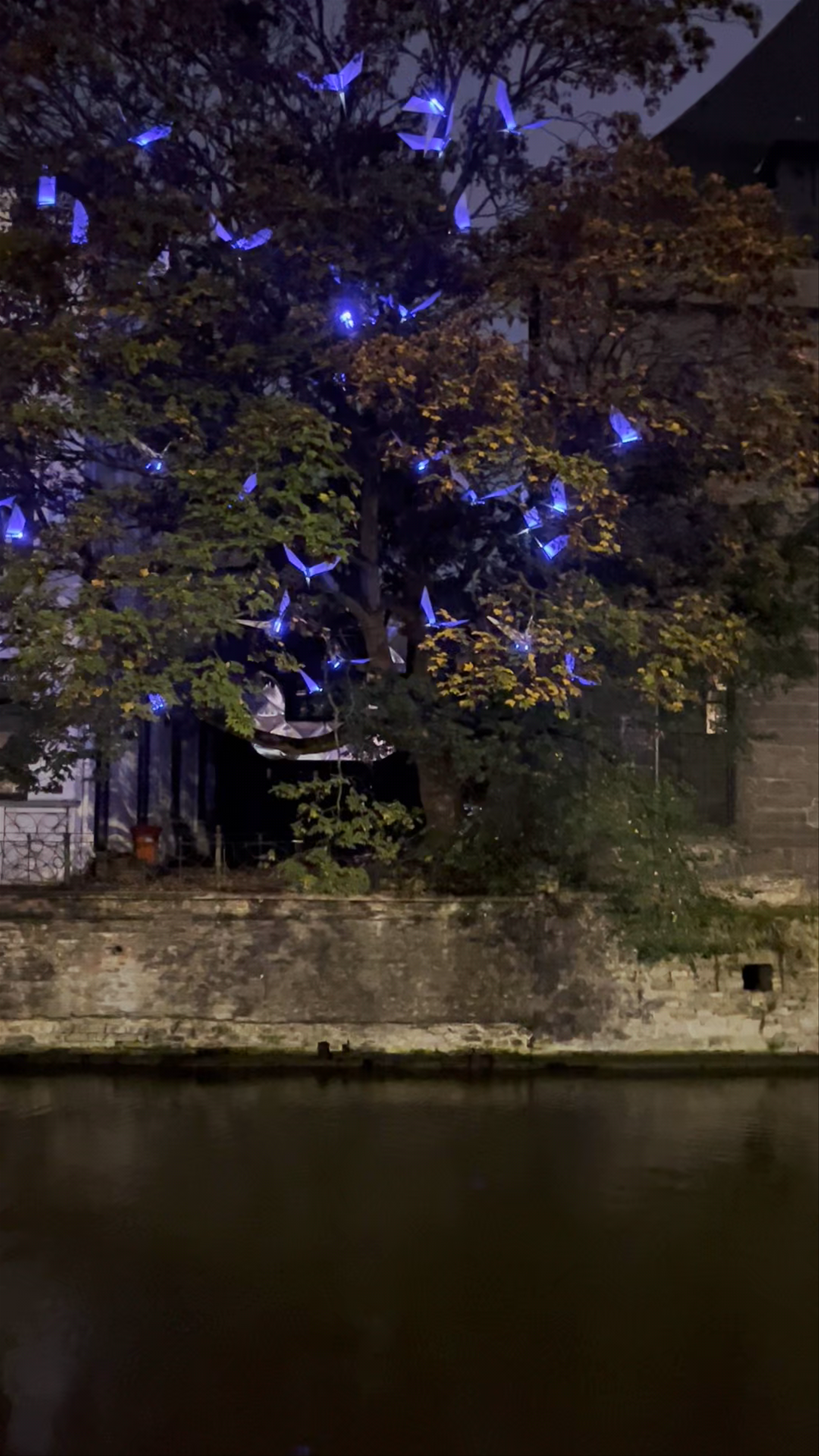 Blauwe vogels - lichtkunstwerk van Dhr Maeterlinck