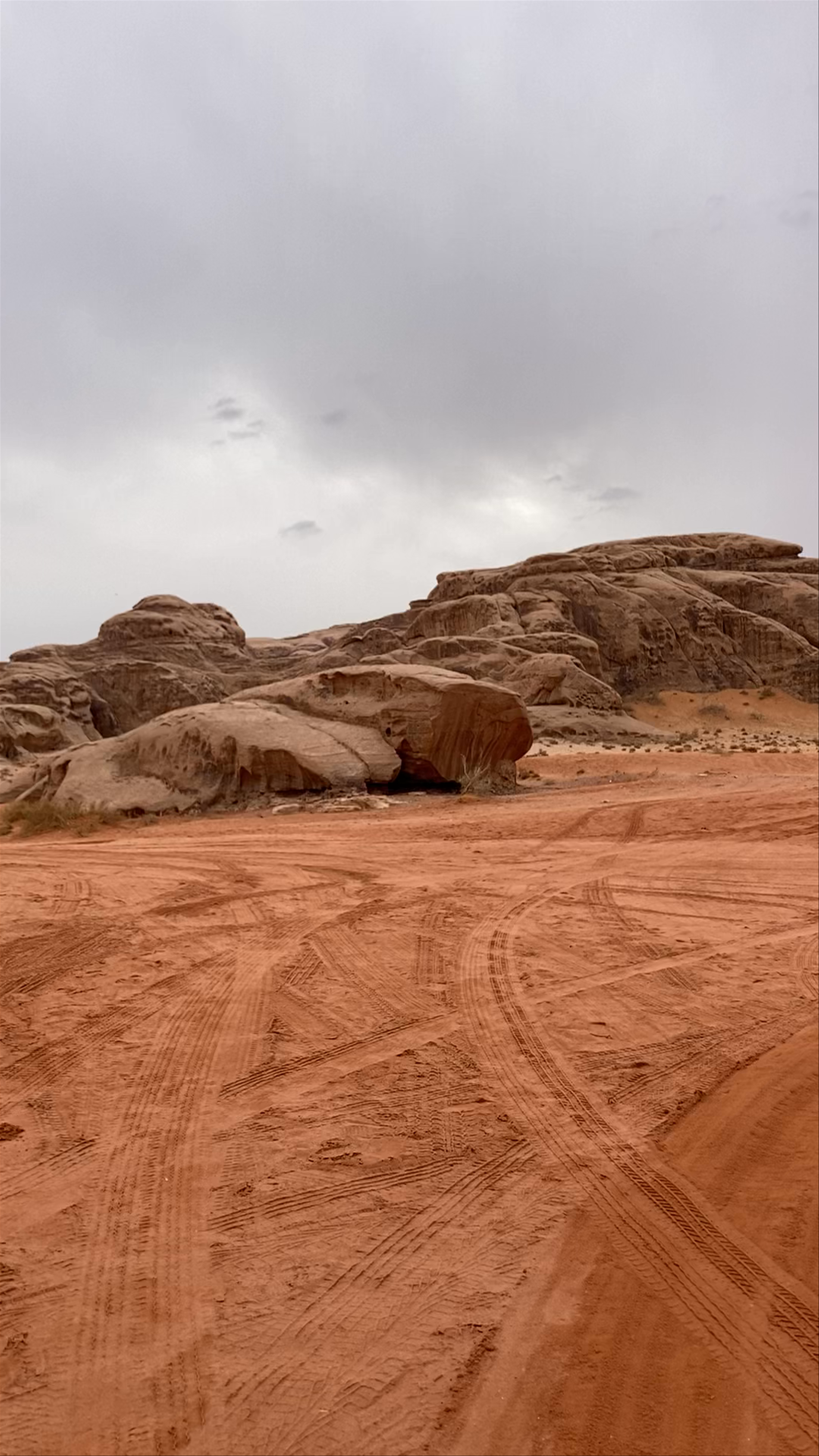 Wadi Rum Protected Area