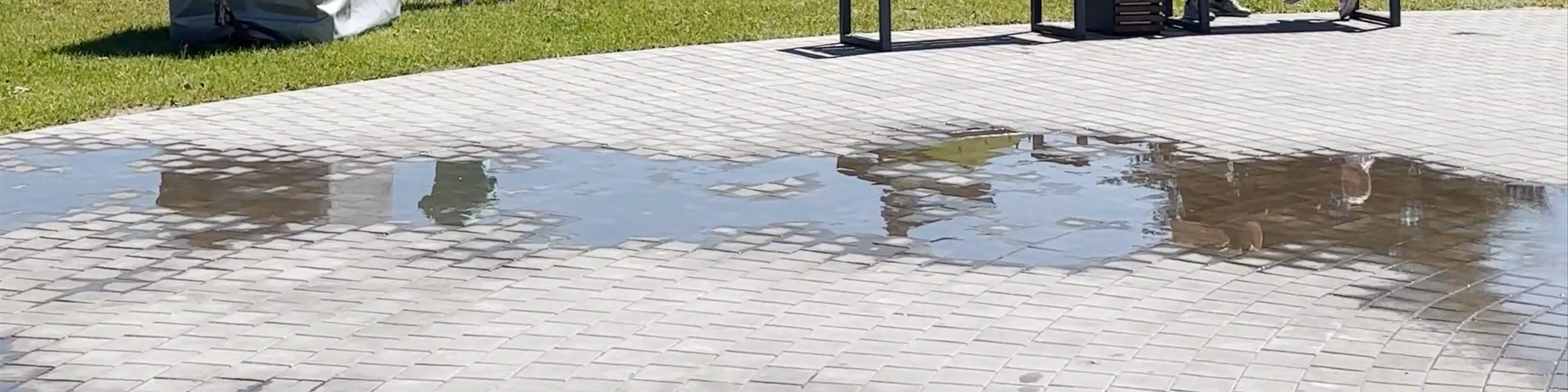 Fantan U Kurgana Slavy