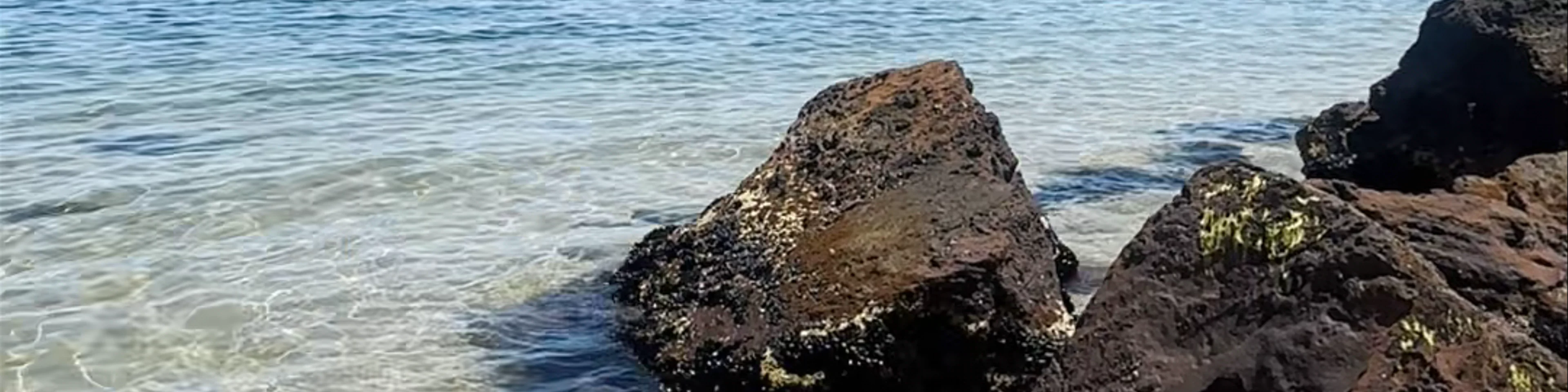 Half Moon Bay