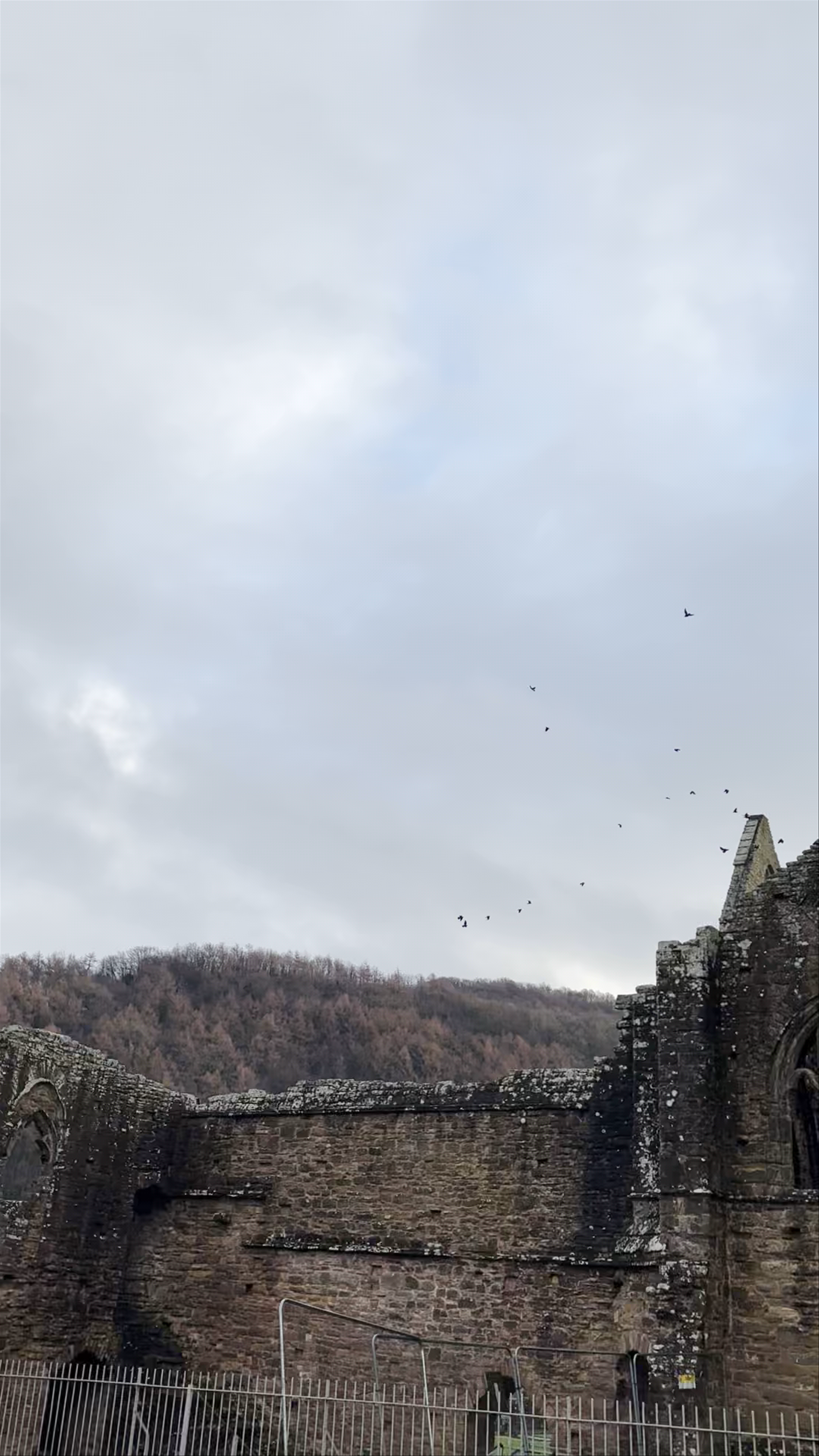 Tintern Abbey