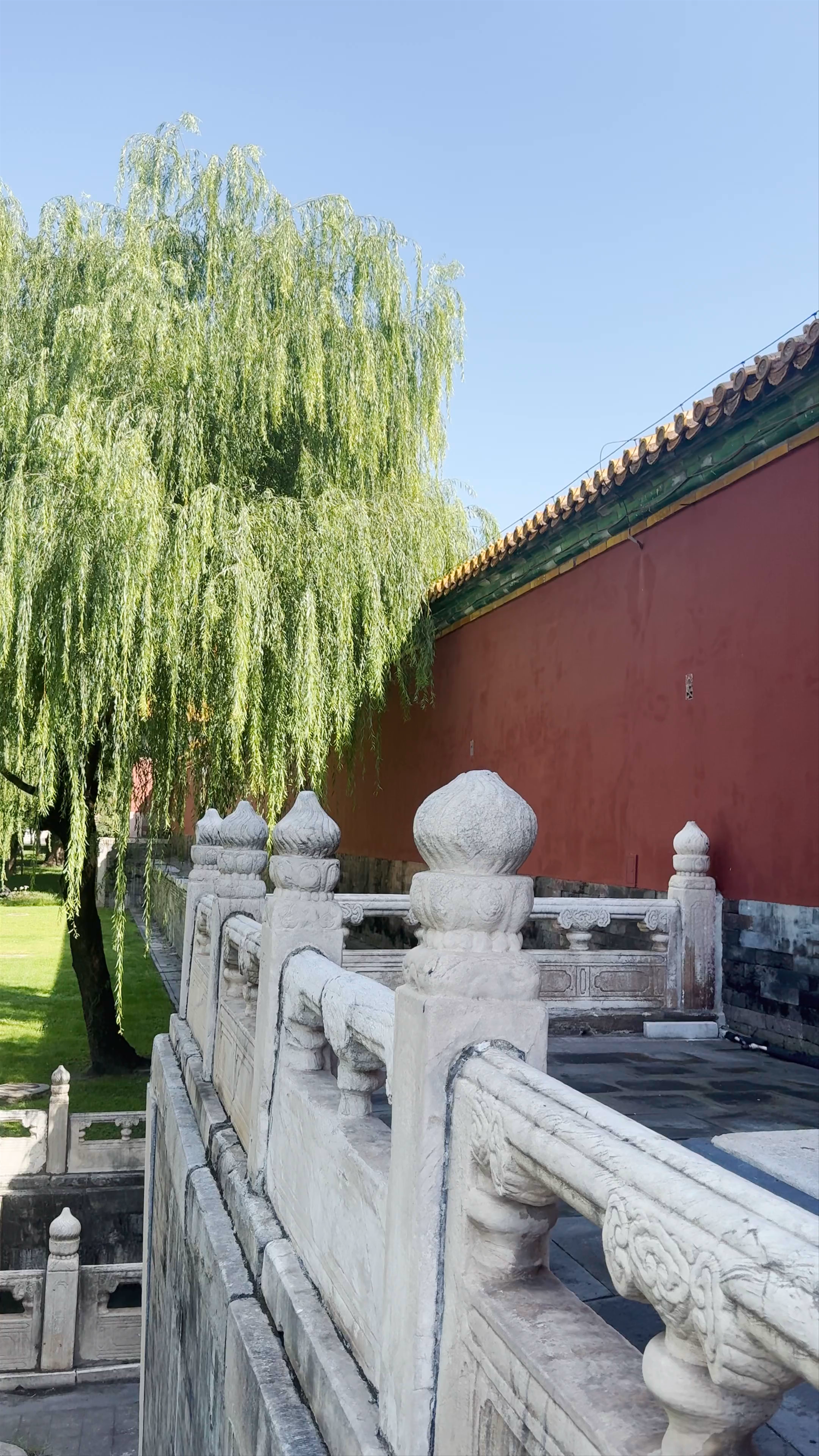 The Palace Museum